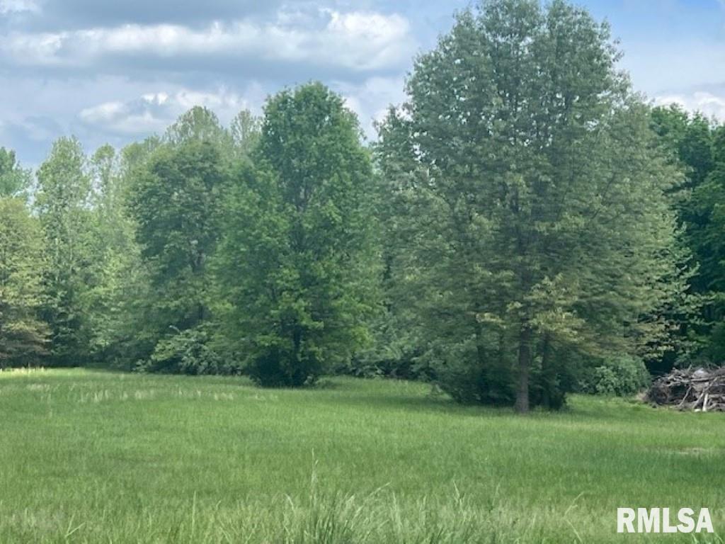 3401-lot 13) Ridgecrest Drive Mount Vernon, IL 62864 - Photo 9 of 15 a view of a grassy field with trees