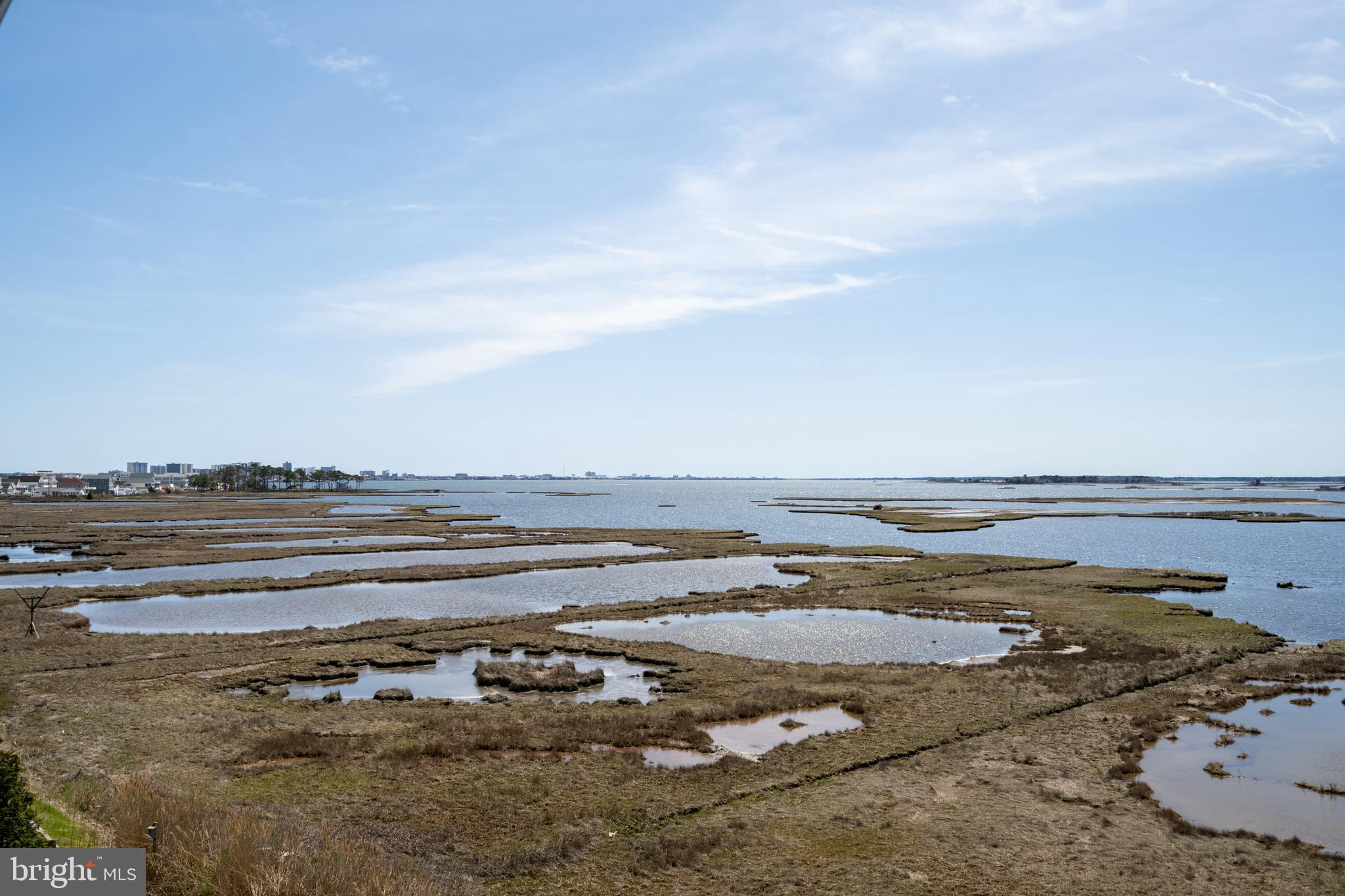 37304 Lighthouse Road, Unit 8 Selbyville, DE 19975 - Photo 30 of 53 Do I spy a Bald Eagle?