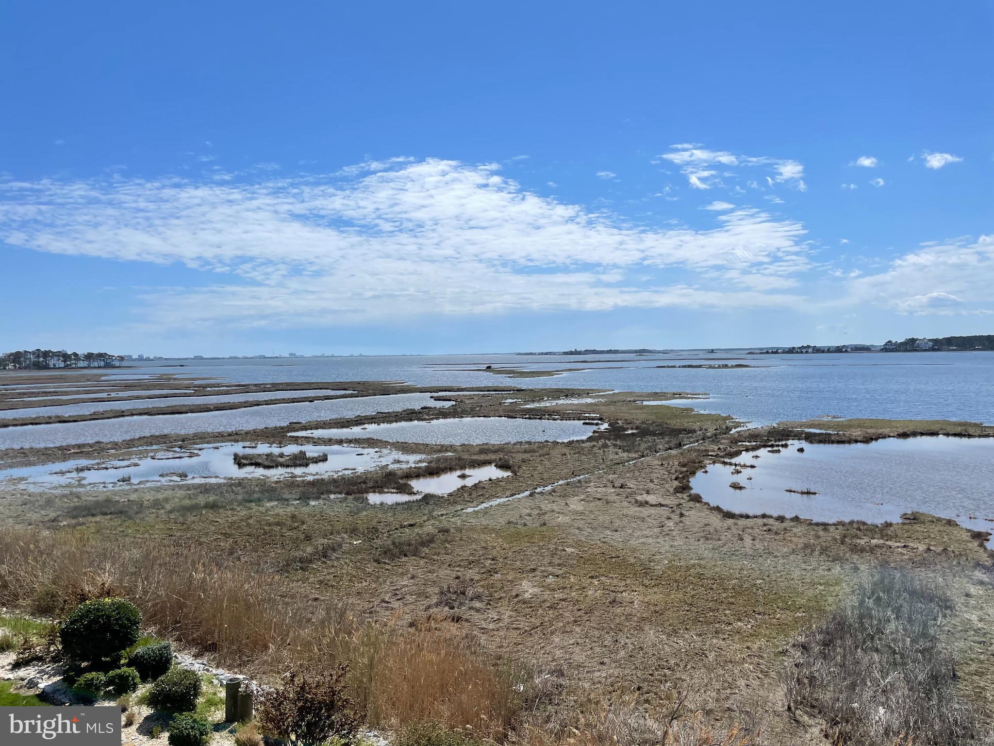 37304 Lighthouse Road, Unit 8 Selbyville, DE 19975 - Photo 6 of 53 Views and more views