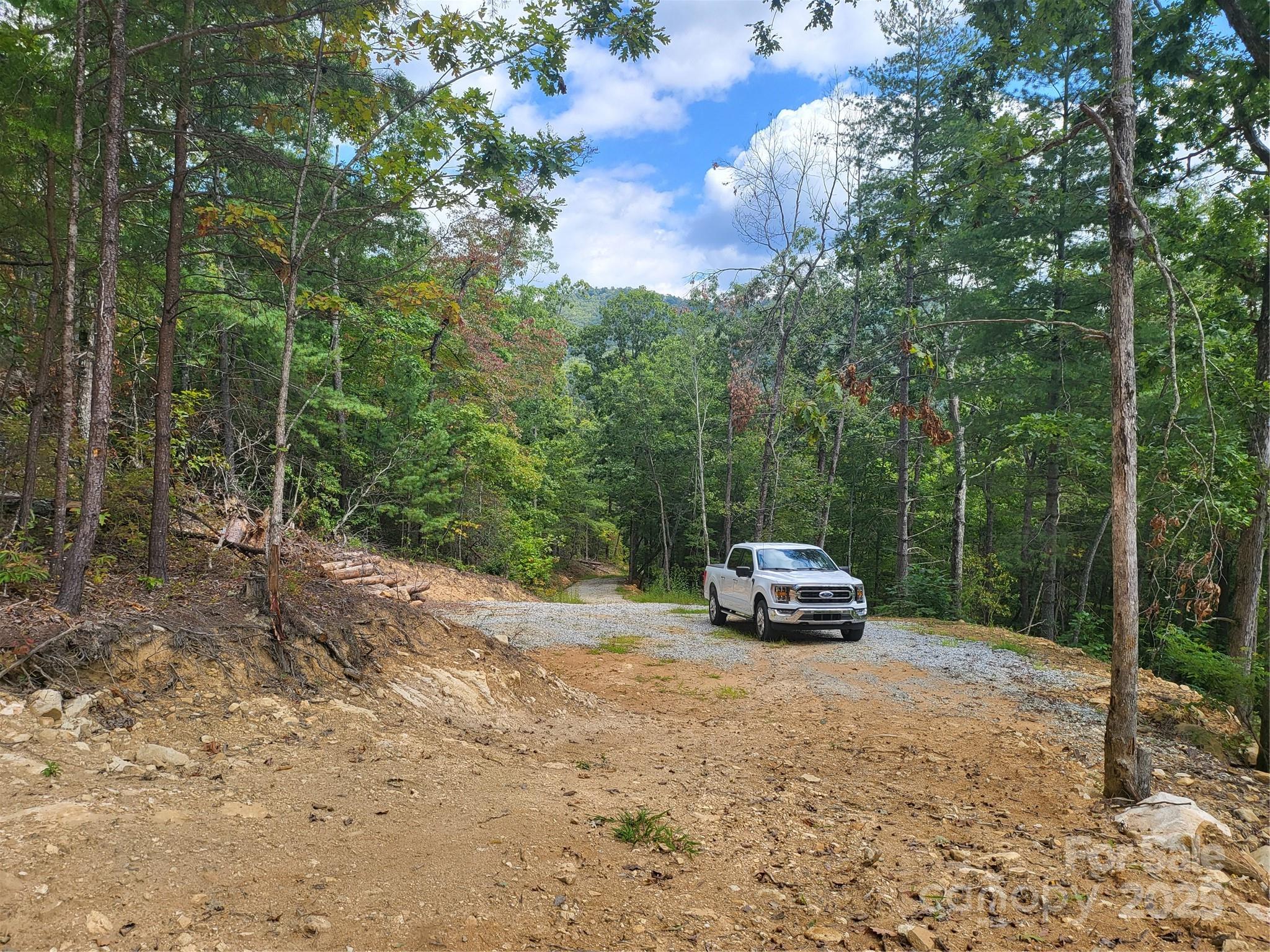 8888 Cedar Creek Farm Road Tuckasegee, NC 28783 - Photo 11 of 25