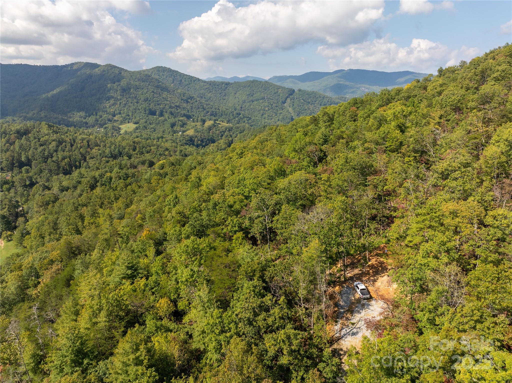 8888 Cedar Creek Farm Road Tuckasegee, NC 28783 - Photo 13 of 25