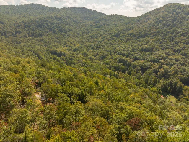 a view of a dry yard with mountains in the background