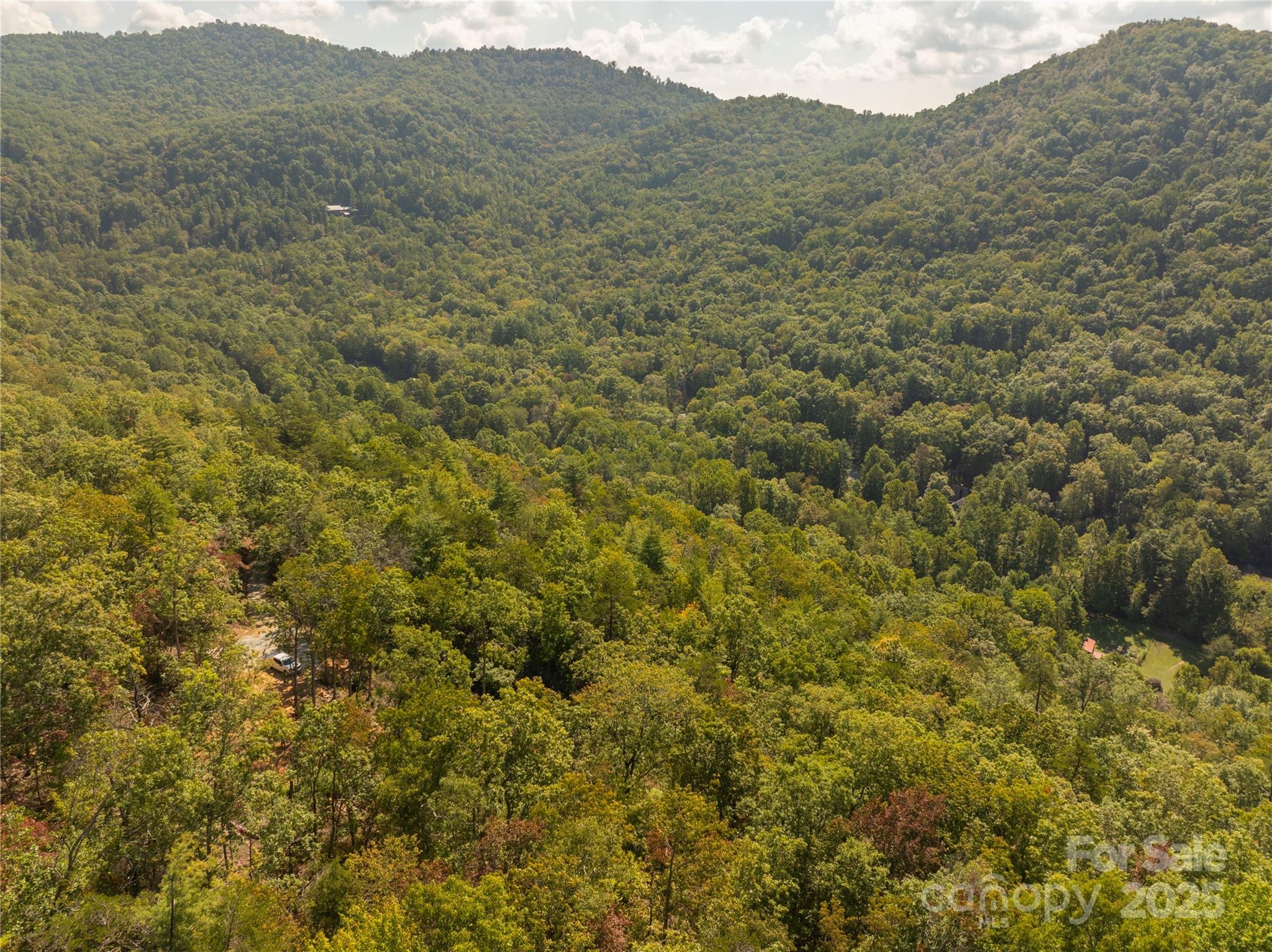 8888 Cedar Creek Farm Road Tuckasegee, NC 28783 - Photo 15 of 25