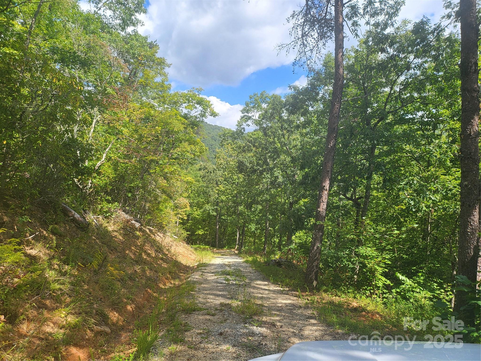 8888 Cedar Creek Farm Road Tuckasegee, NC 28783 - Photo 17 of 25