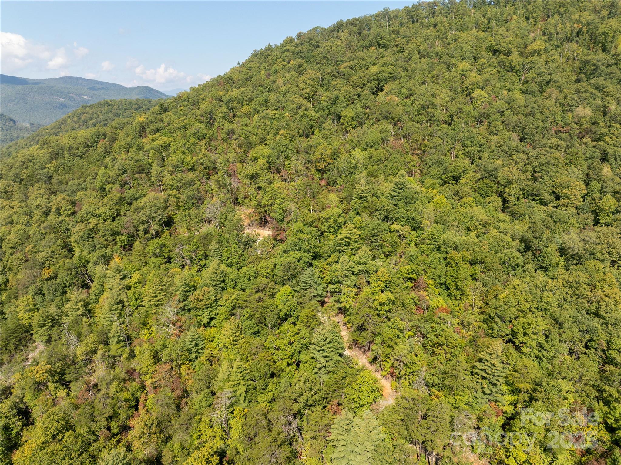 8888 Cedar Creek Farm Road Tuckasegee, NC 28783 - Photo 18 of 25