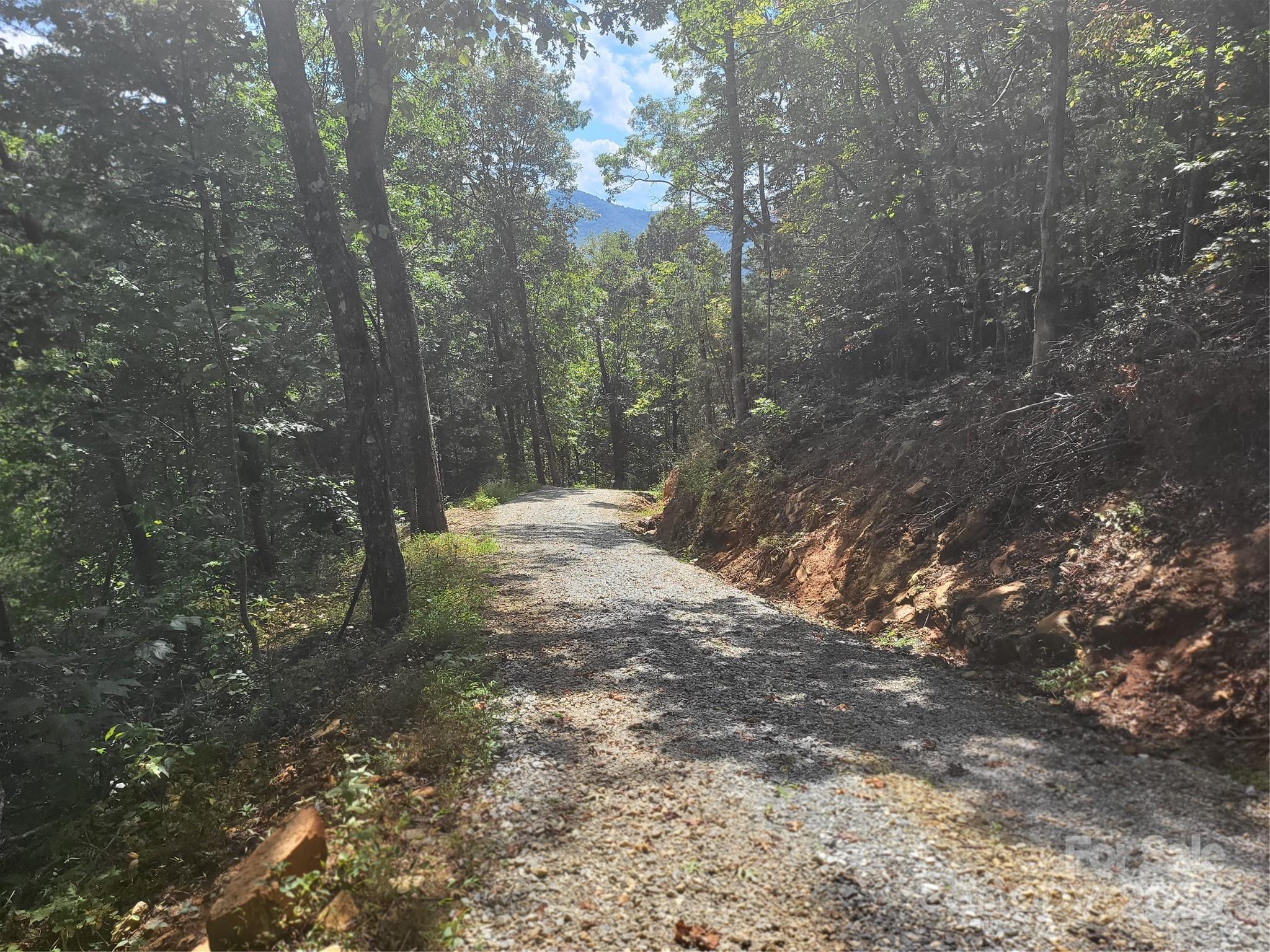 8888 Cedar Creek Farm Road Tuckasegee, NC 28783 - Photo 19 of 25