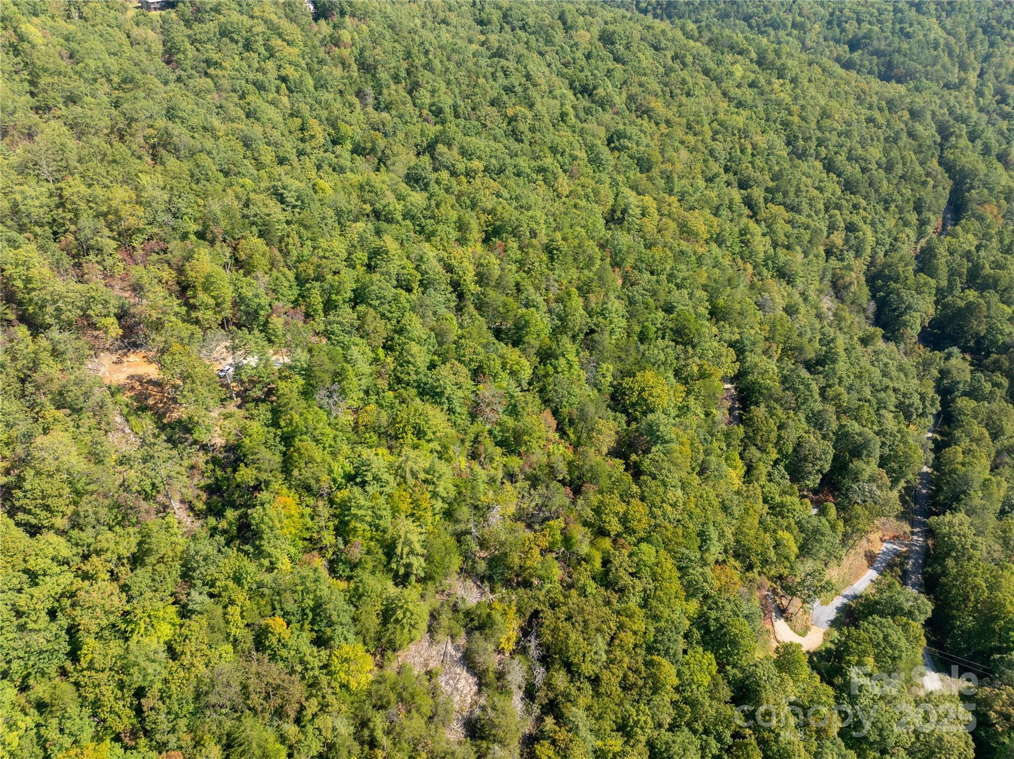 8888 Cedar Creek Farm Road Tuckasegee, NC 28783 - Photo 21 of 25