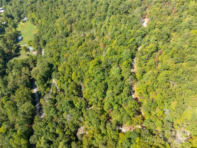 a view of a big yard with plants and wooden walls