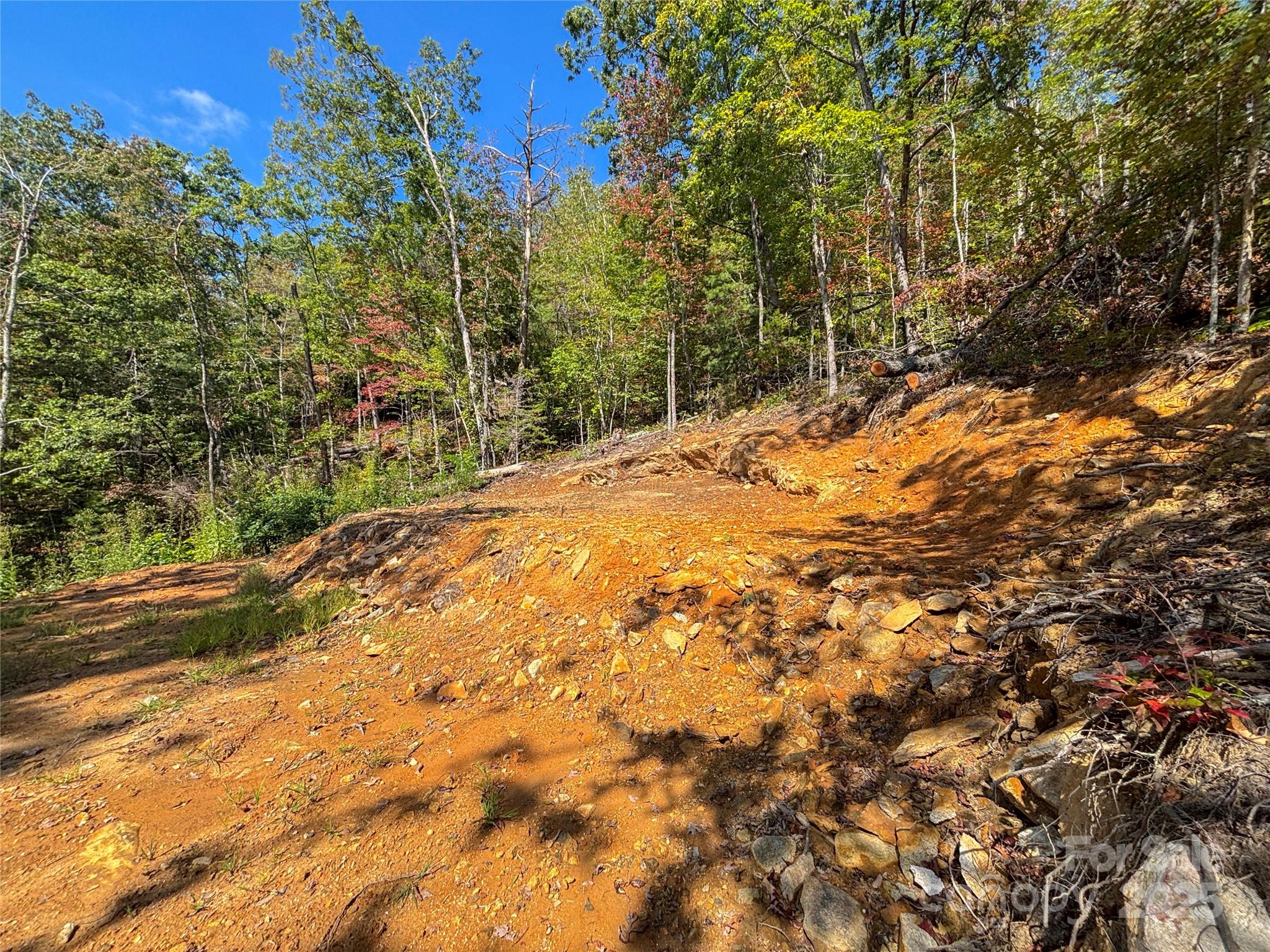 8888 Cedar Creek Farm Road Tuckasegee, NC 28783 - Photo 23 of 25