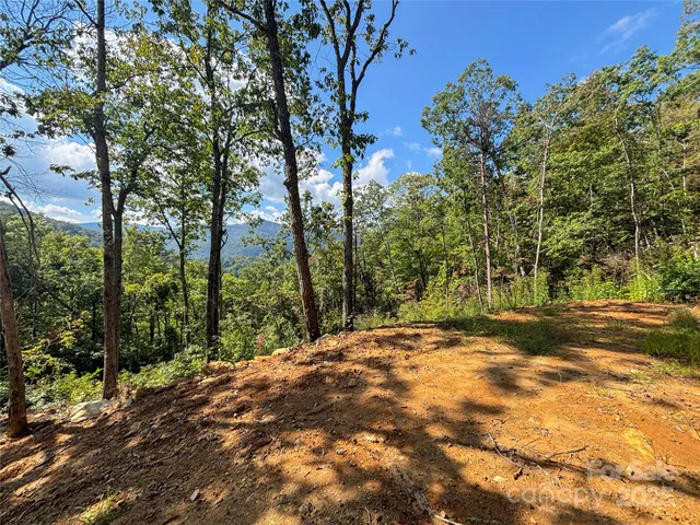 a view of a yard with large trees