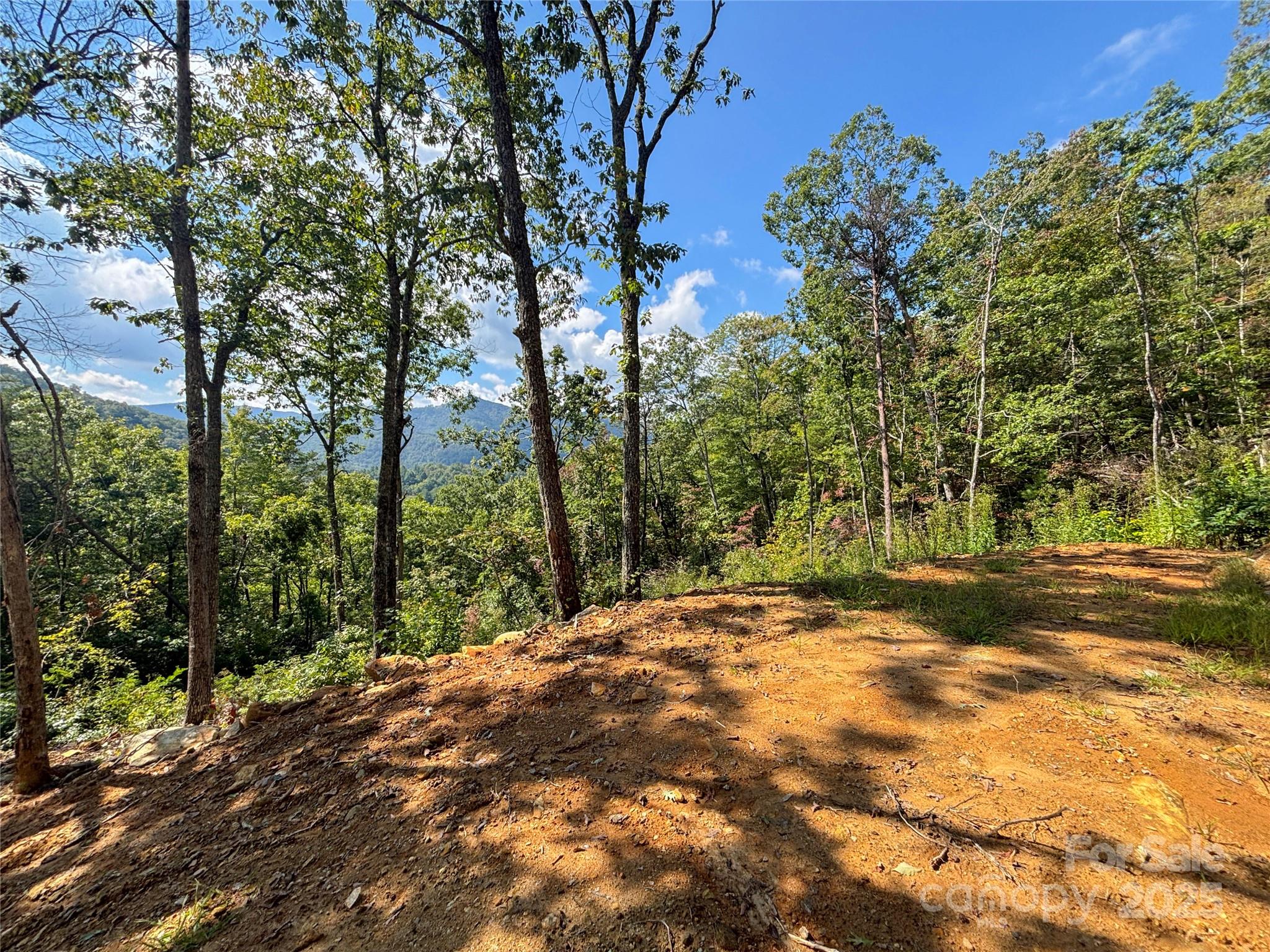 8888 Cedar Creek Farm Road Tuckasegee, NC 28783 - Photo 3 of 25