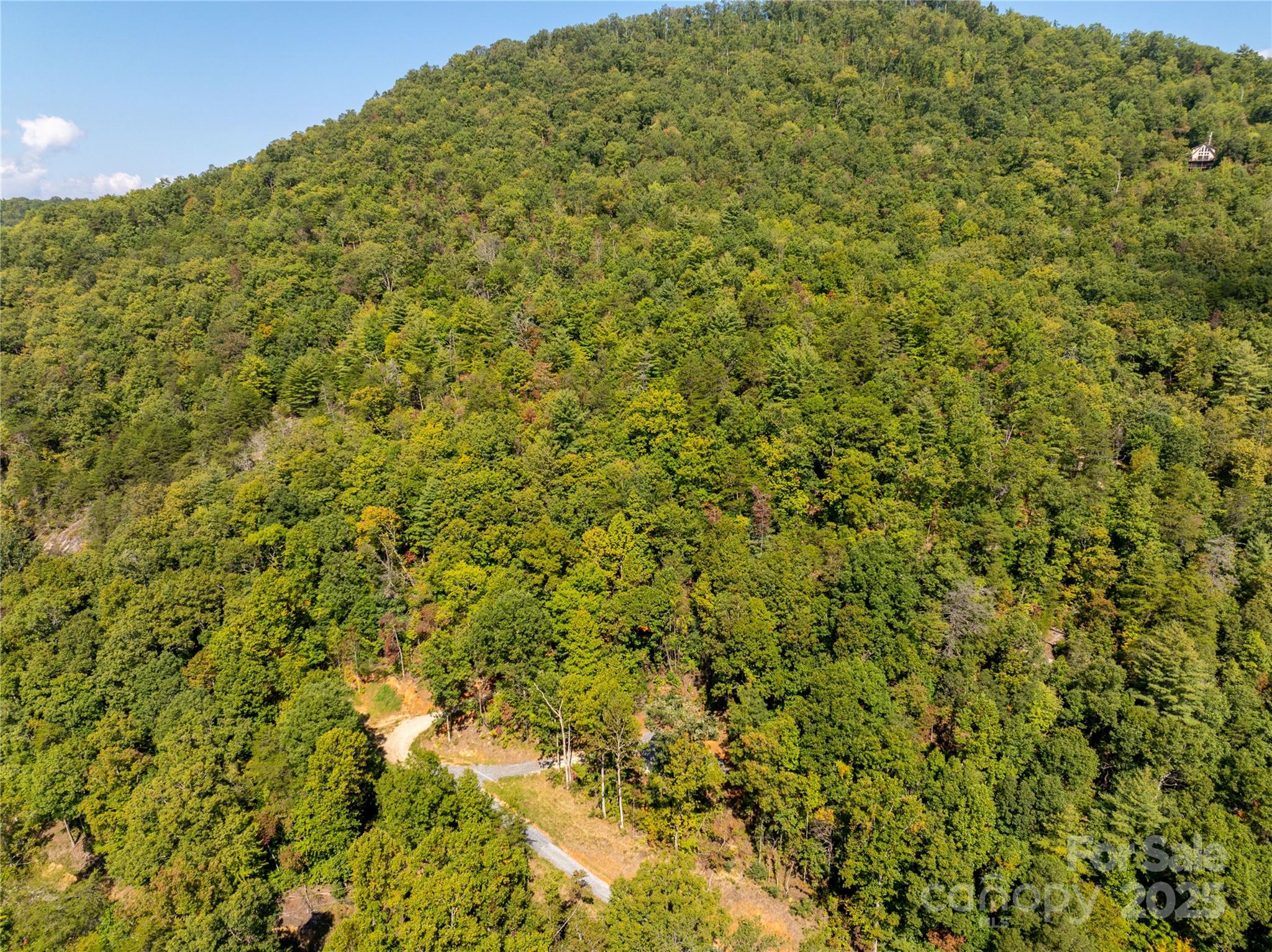 8888 Cedar Creek Farm Road Tuckasegee, NC 28783 - Photo 4 of 25