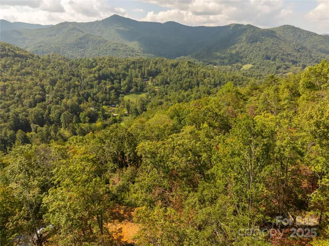 a view of a mountain range with lush green forest