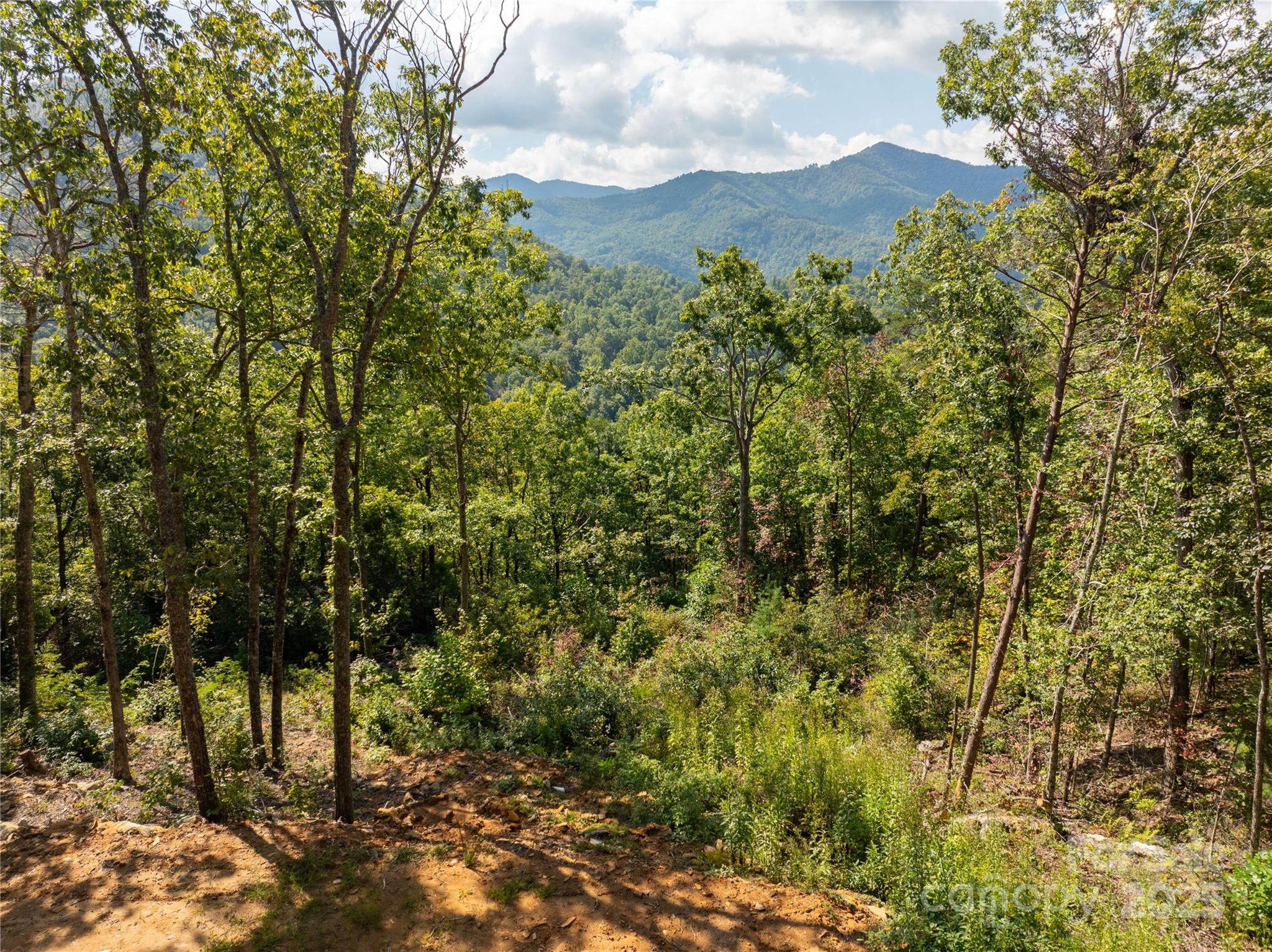 8888 Cedar Creek Farm Road Tuckasegee, NC 28783 - Photo 6 of 25