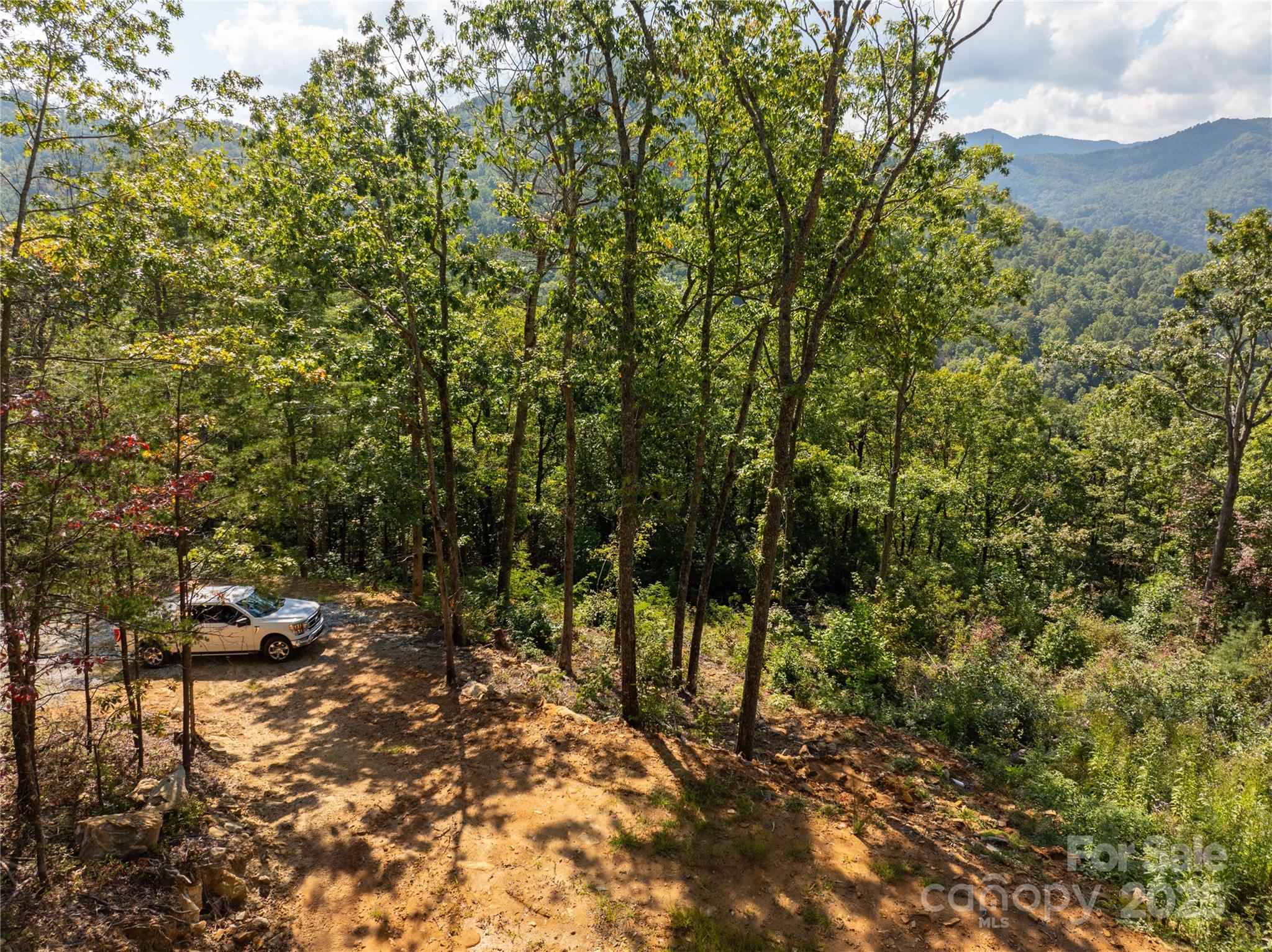 8888 Cedar Creek Farm Road Tuckasegee, NC 28783 - Photo 7 of 25