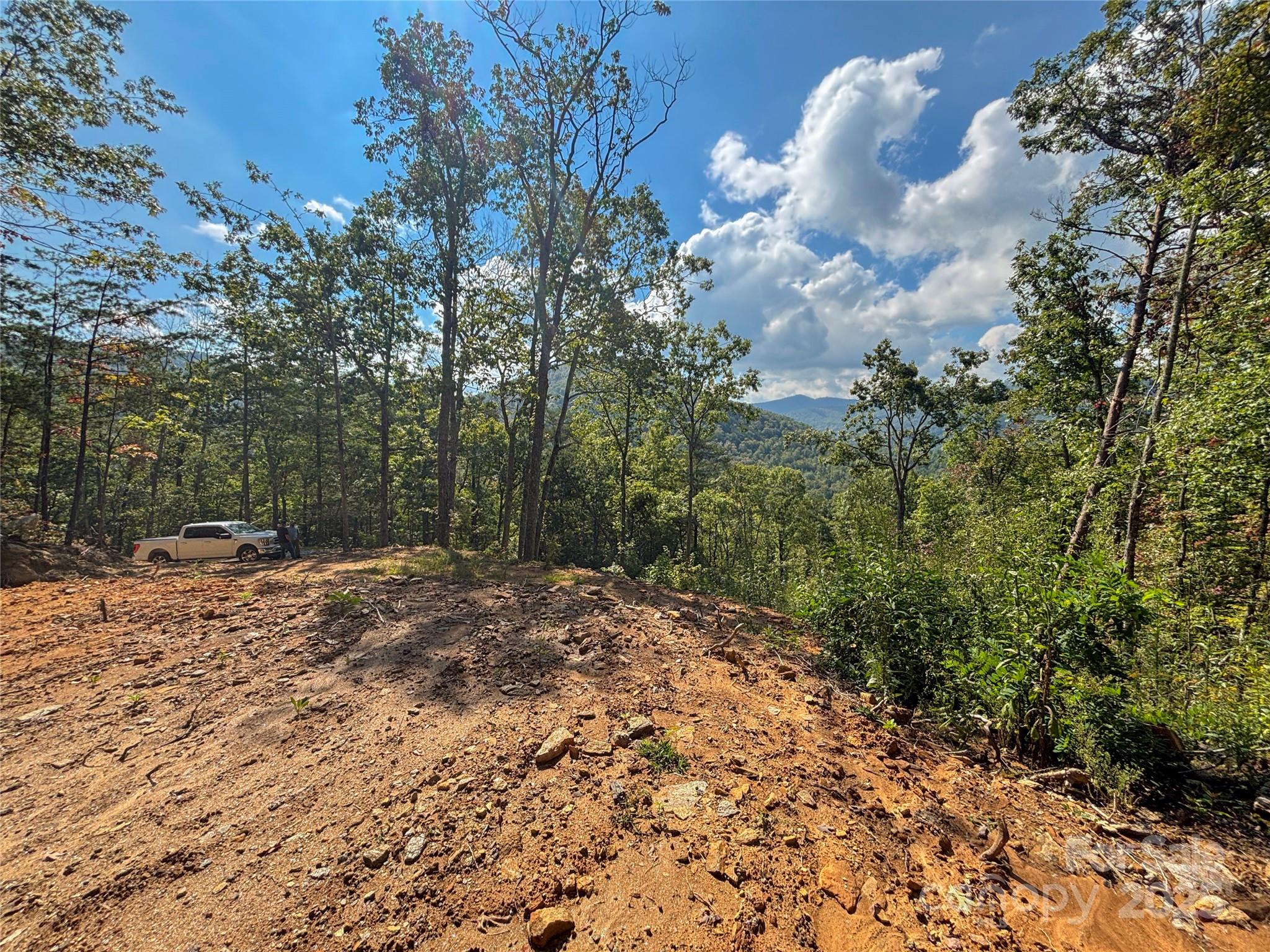 8888 Cedar Creek Farm Road Tuckasegee, NC 28783 - Photo 8 of 25