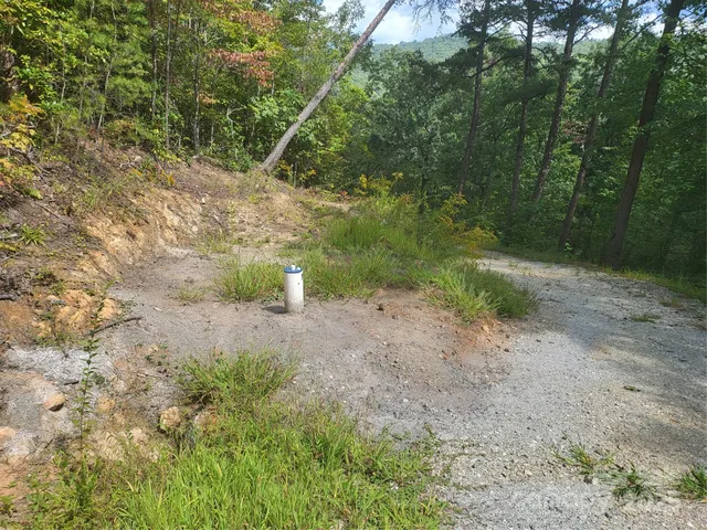 a view of a dirt road with large trees