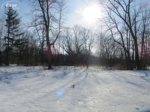 6980 Canada Road Birch Run, MI 48415 - Photo 8 of 19 20394652-7.JPG