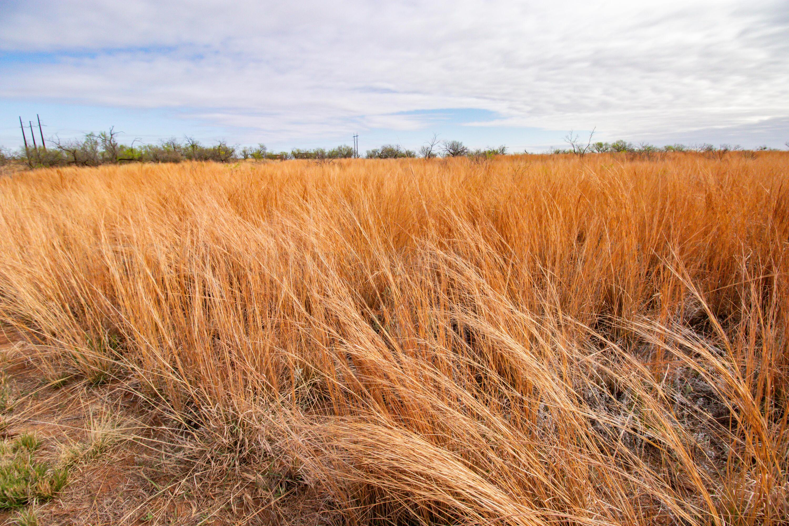 High Point Memphis, TX 79245 - Photo 17 of 63 017