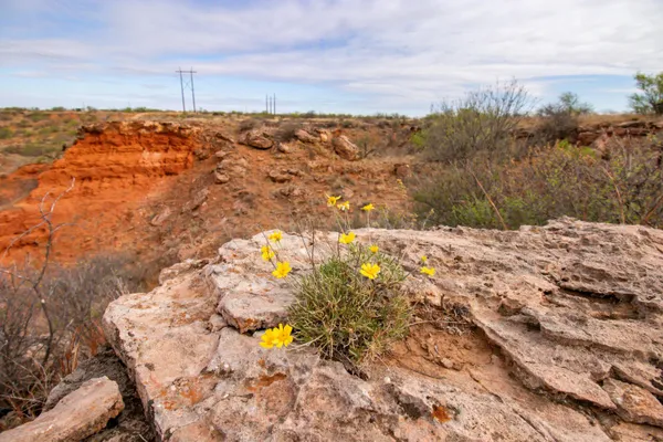 $560,000 | High Point, Memphis, TX 79245