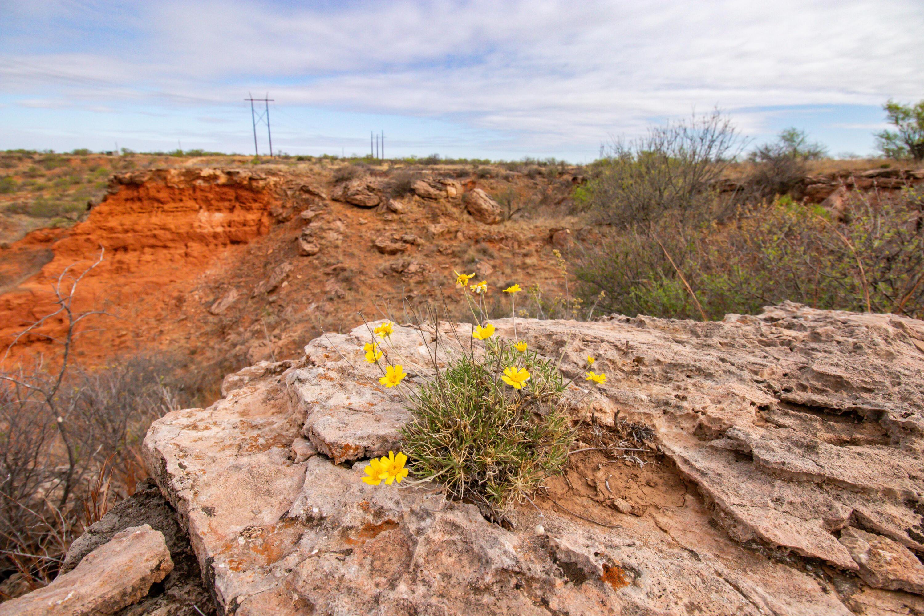 High Point Memphis, TX 79245 - Photo 22 of 63 022
