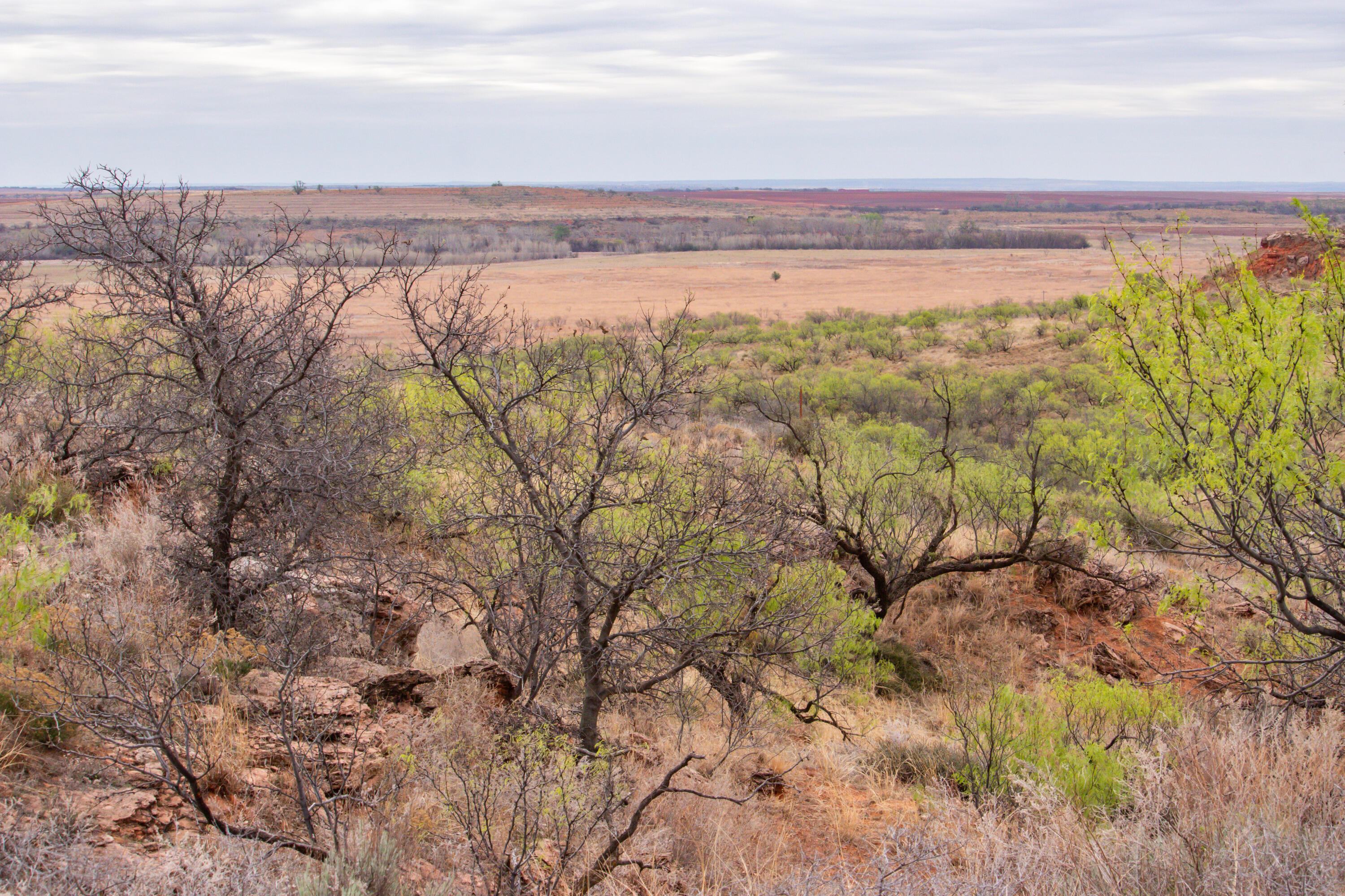 High Point Memphis, TX 79245 - Photo 23 of 63 023