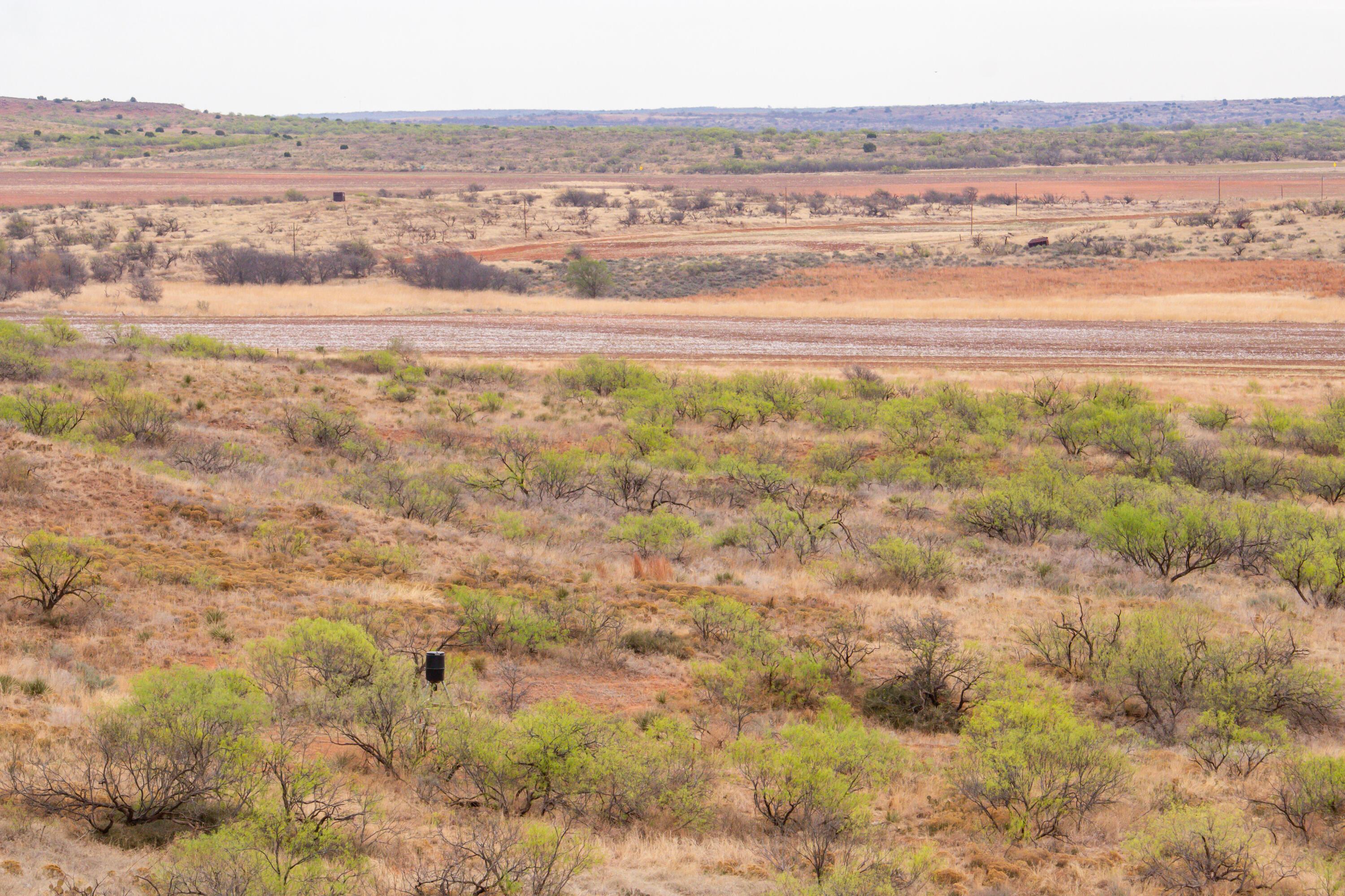 High Point Memphis, TX 79245 - Photo 24 of 63 024