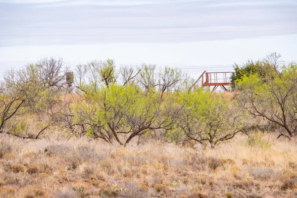 $560,000 | High Point, Memphis, TX 79245