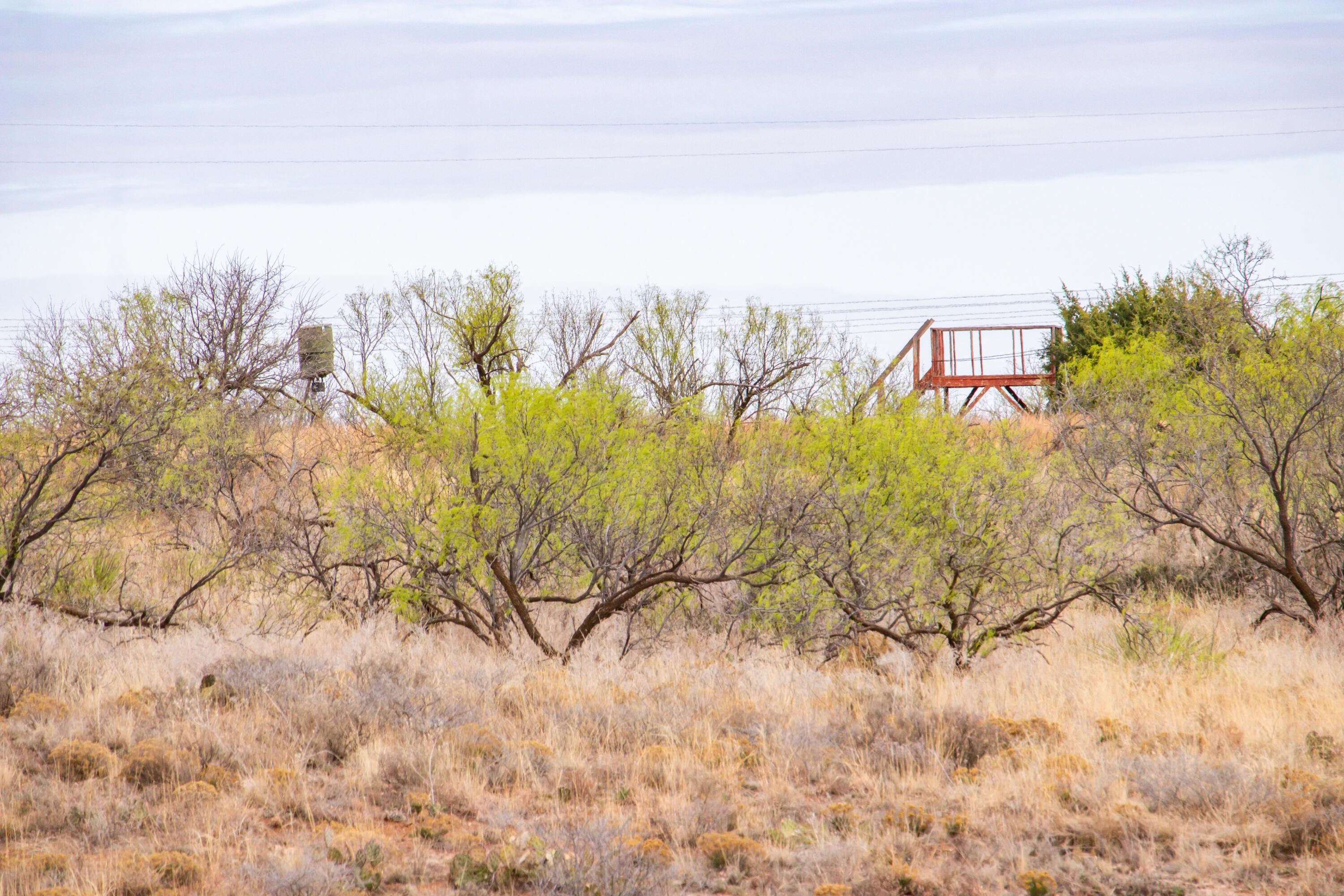 High Point Memphis, TX 79245 - Photo 25 of 63 025