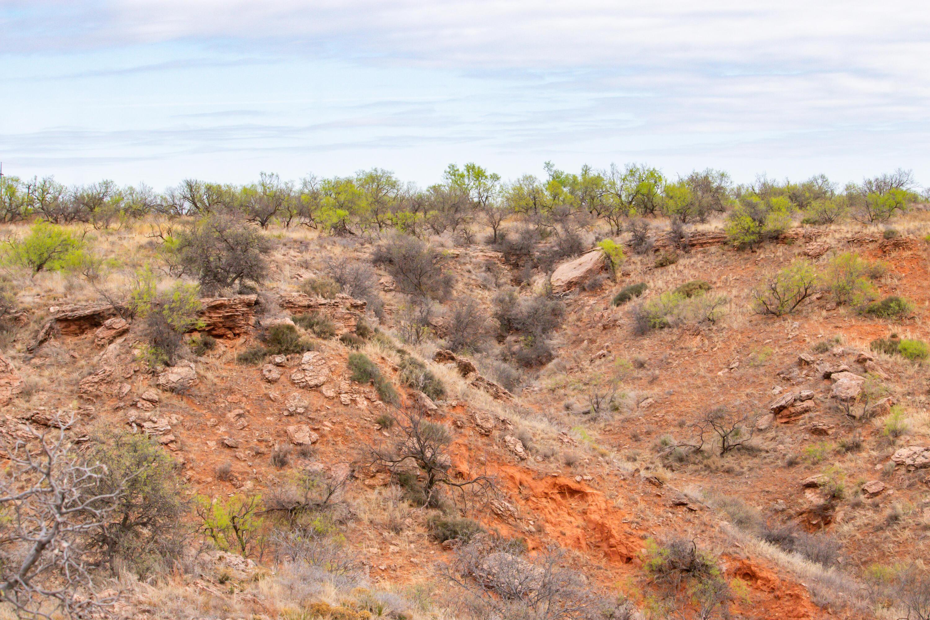 High Point Memphis, TX 79245 - Photo 26 of 63 026