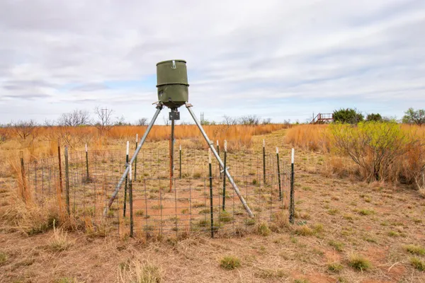 $560,000 | High Point, Memphis, TX 79245