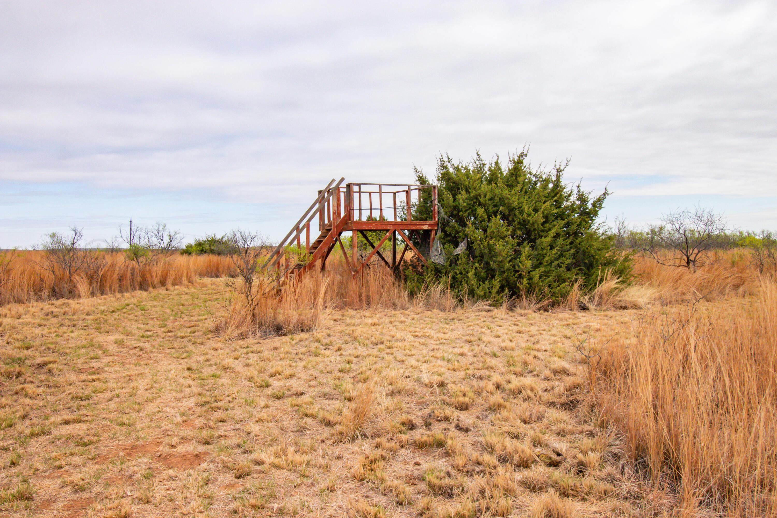 High Point Memphis, TX 79245 - Photo 28 of 63 028