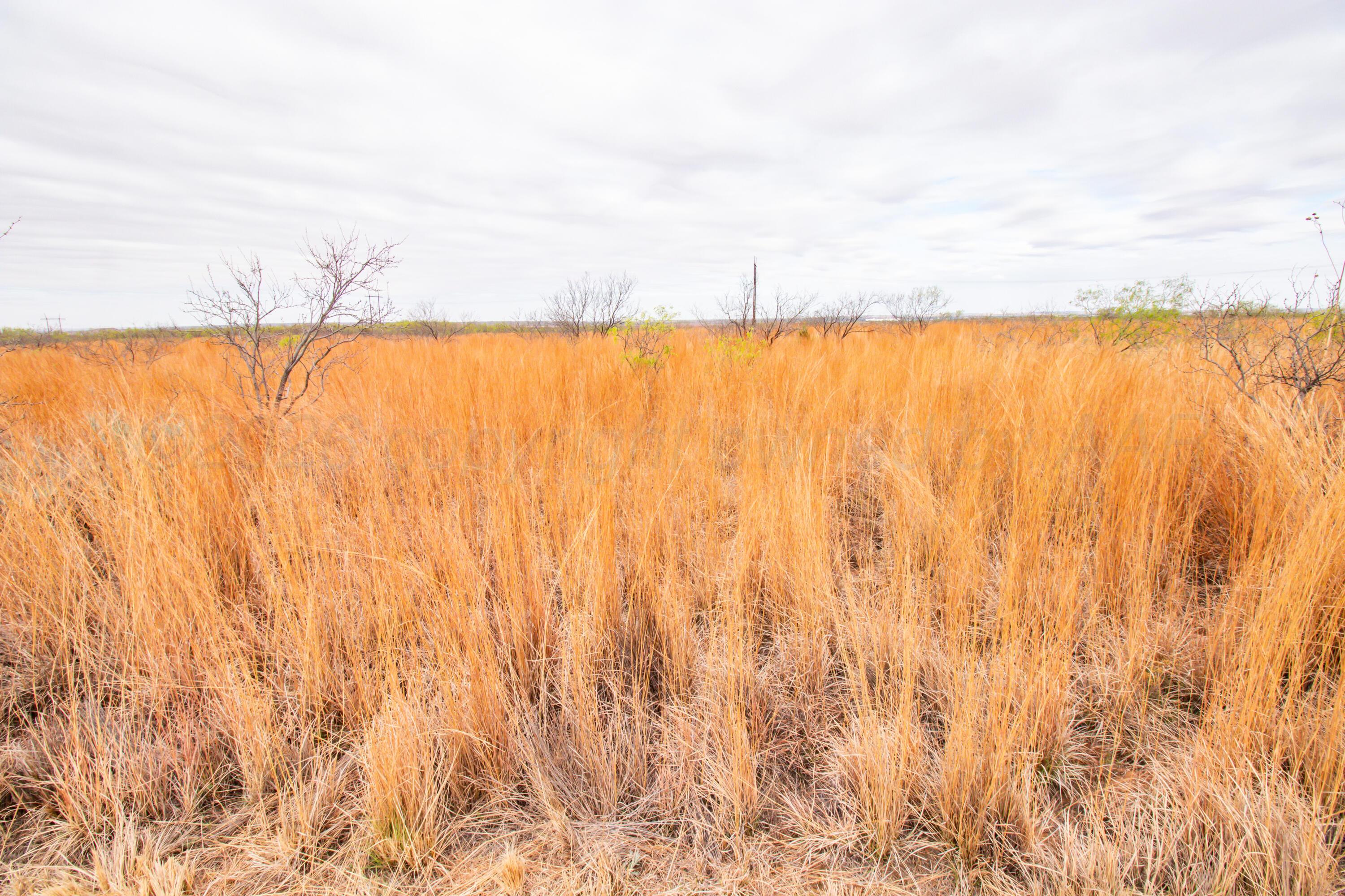 High Point Memphis, TX 79245 - Photo 29 of 63 029