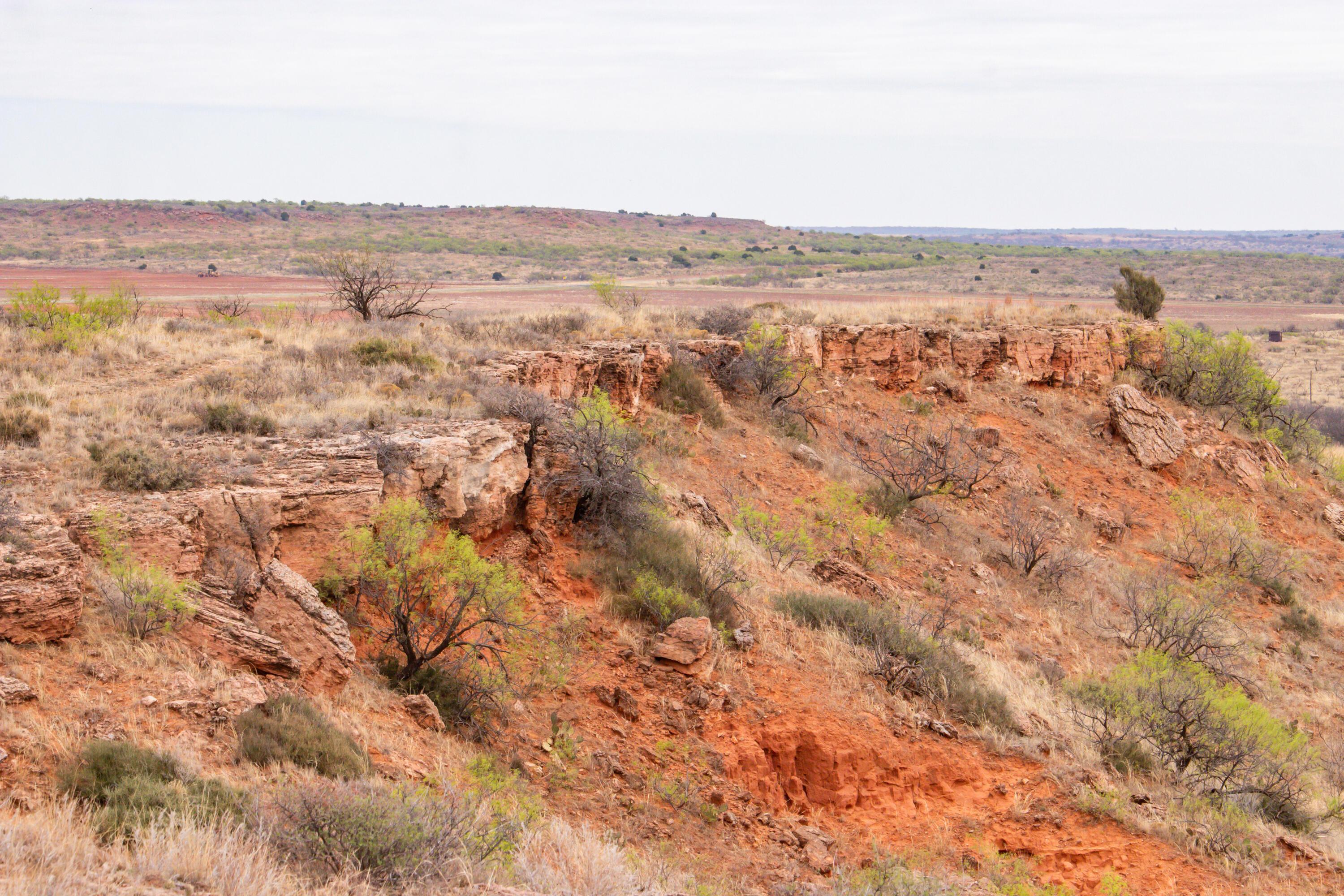 High Point Memphis, TX 79245 - Photo 31 of 63 031