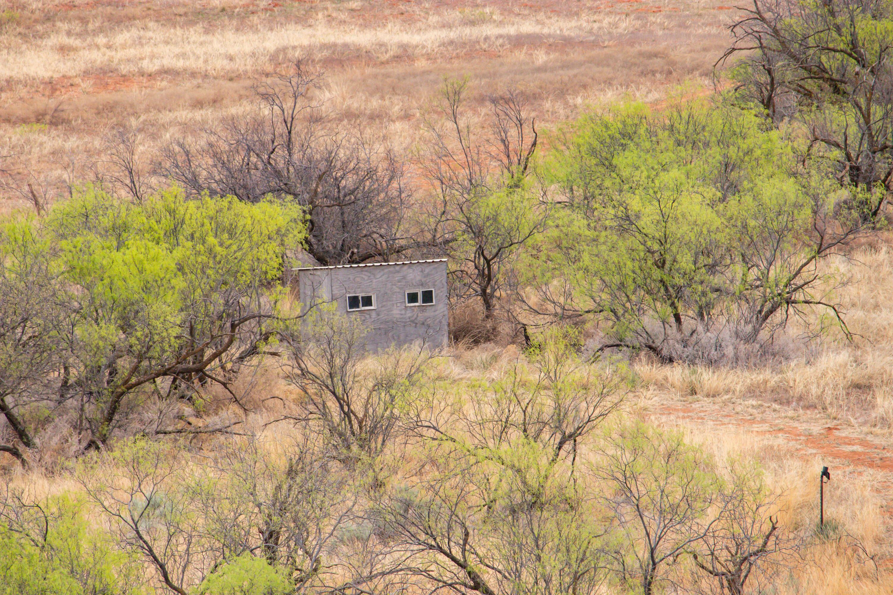 High Point Memphis, TX 79245 - Photo 32 of 63 032