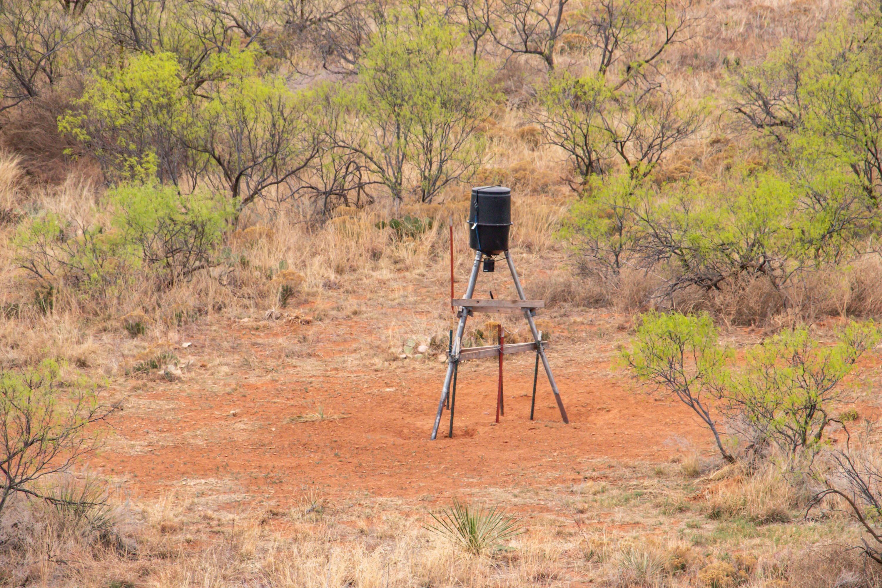 High Point Memphis, TX 79245 - Photo 33 of 63 033