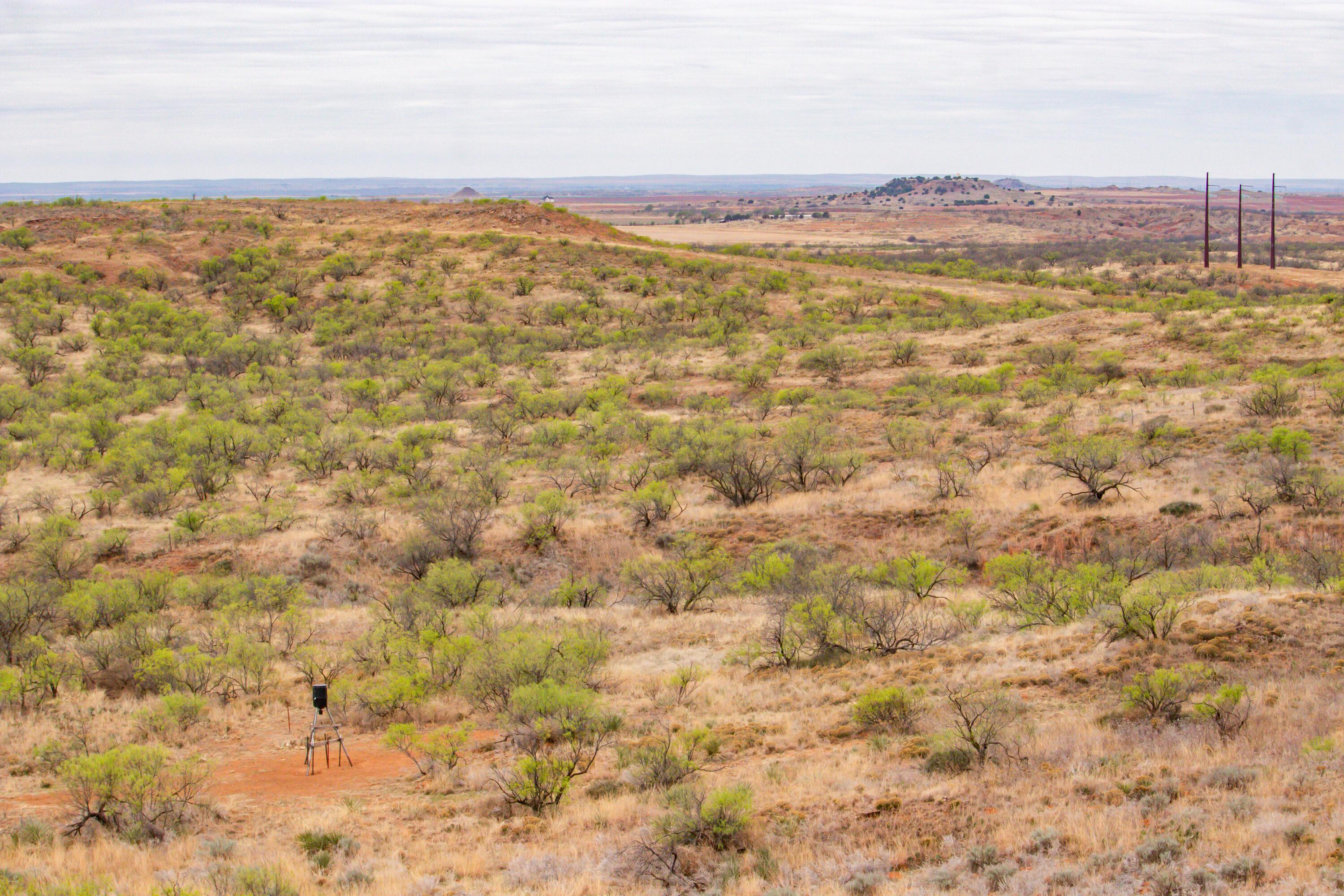 High Point Memphis, TX 79245 - Photo 36 of 63 036
