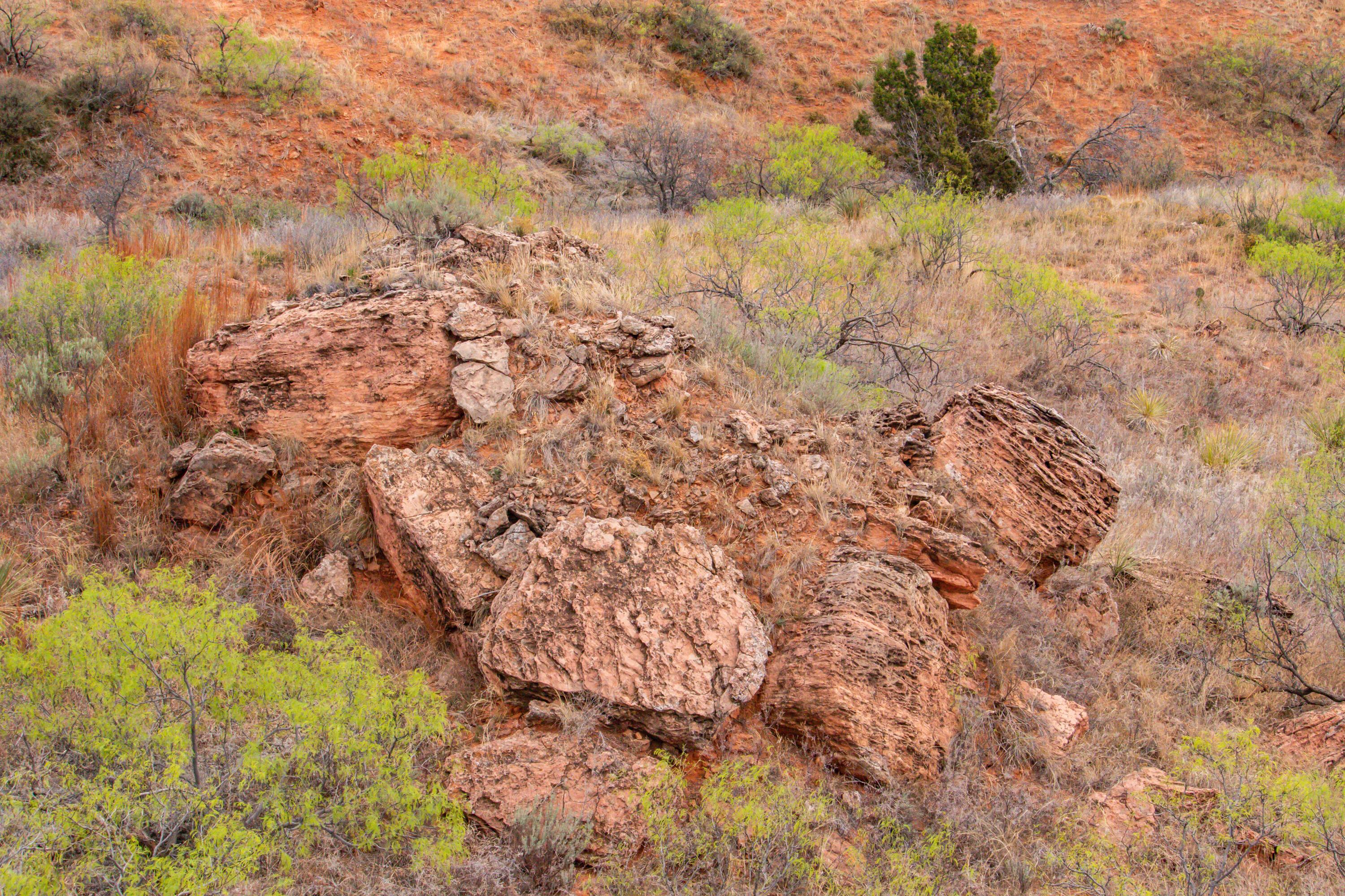 High Point Memphis, TX 79245 - Photo 37 of 63 037