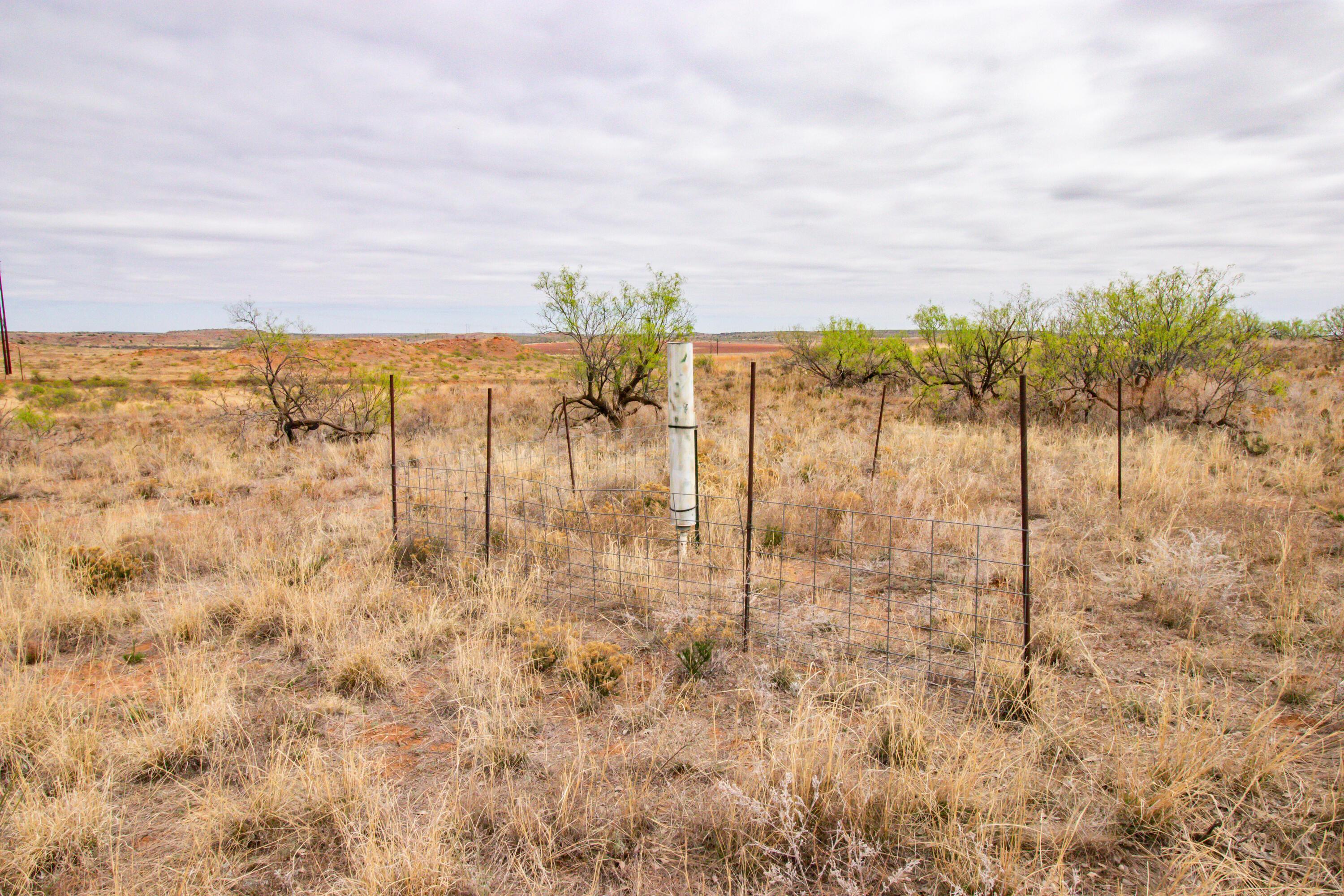 High Point Memphis, TX 79245 - Photo 38 of 63 038