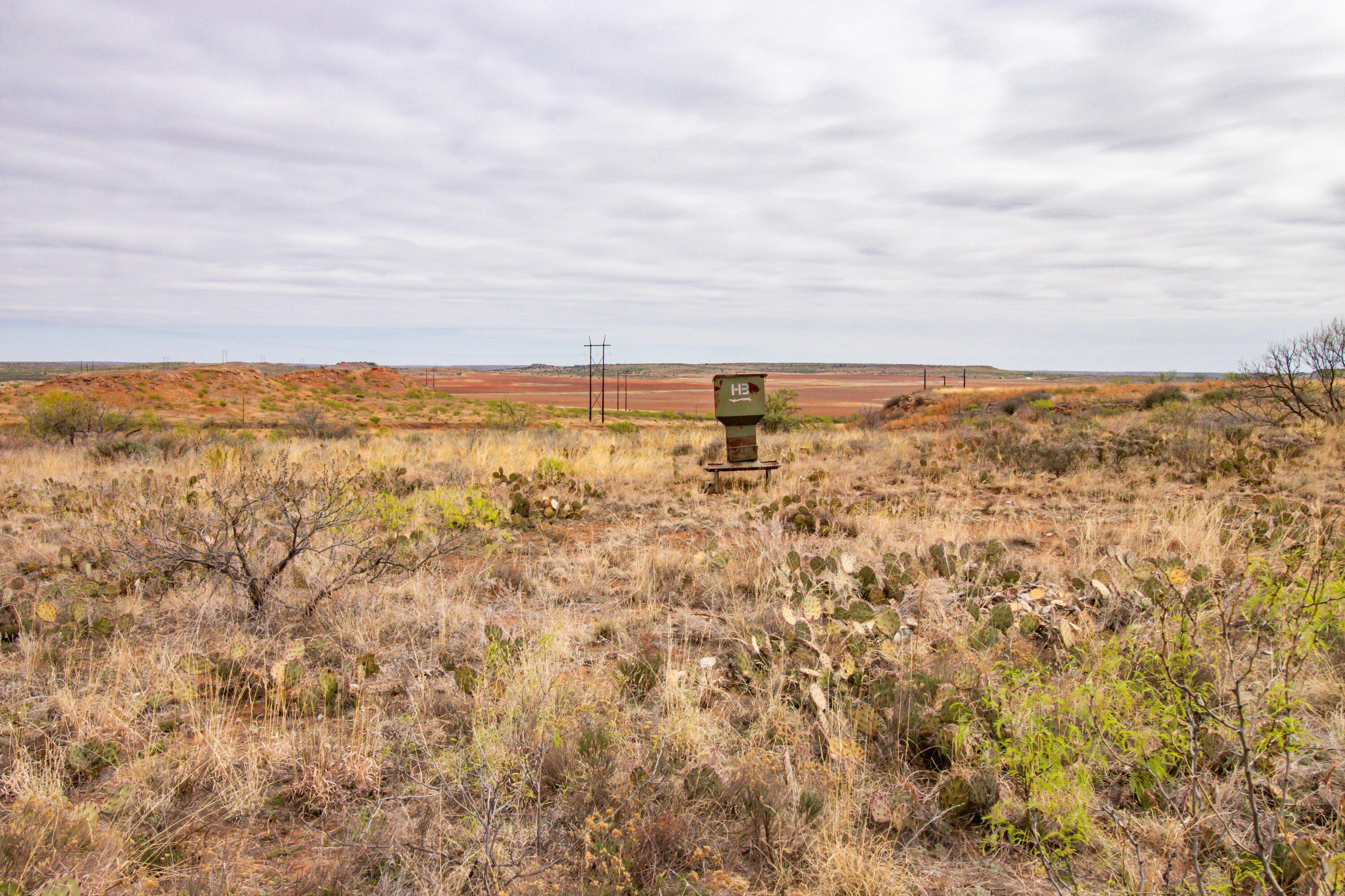 High Point Memphis, TX 79245 - Photo 39 of 63 039