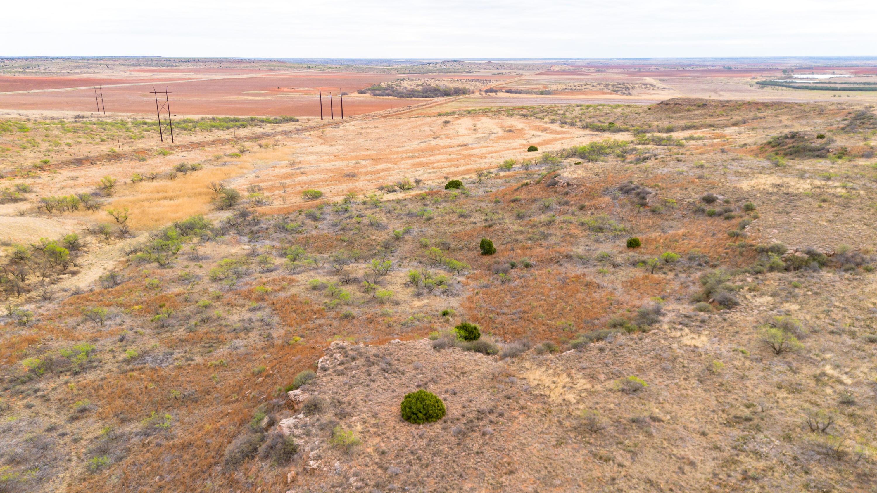 High Point Memphis, TX 79245 - Photo 42 of 63 042