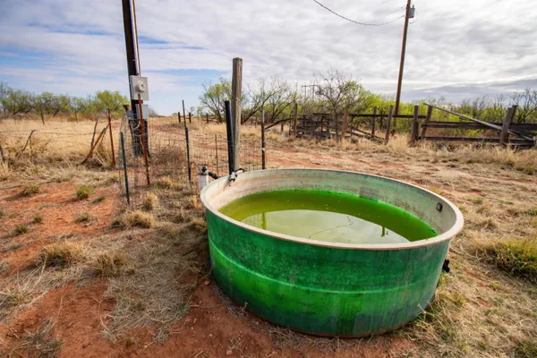 $560,000 | High Point, Memphis, TX 79245