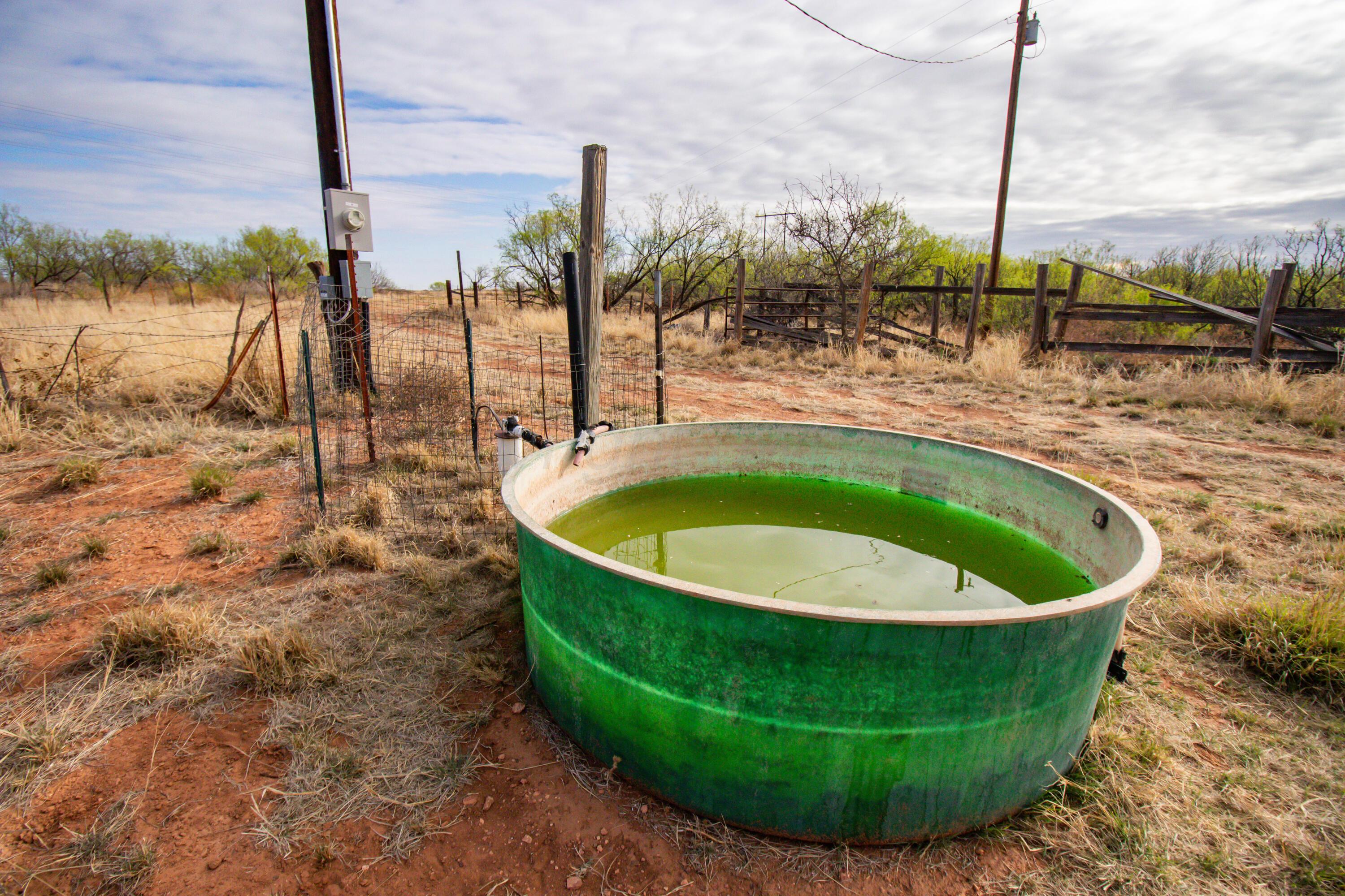 High Point Memphis, TX 79245 - Photo 5 of 63 005
