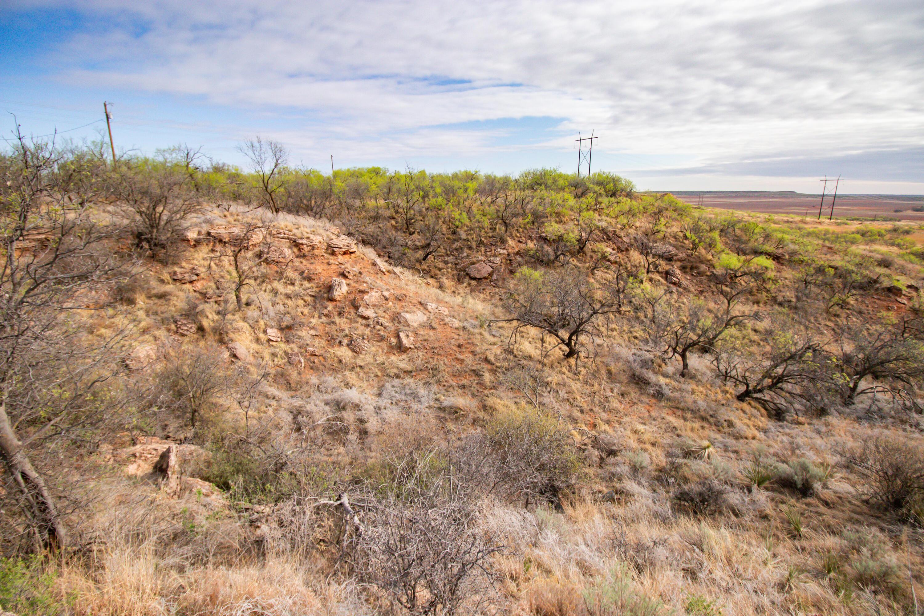High Point Memphis, TX 79245 - Photo 7 of 63 007