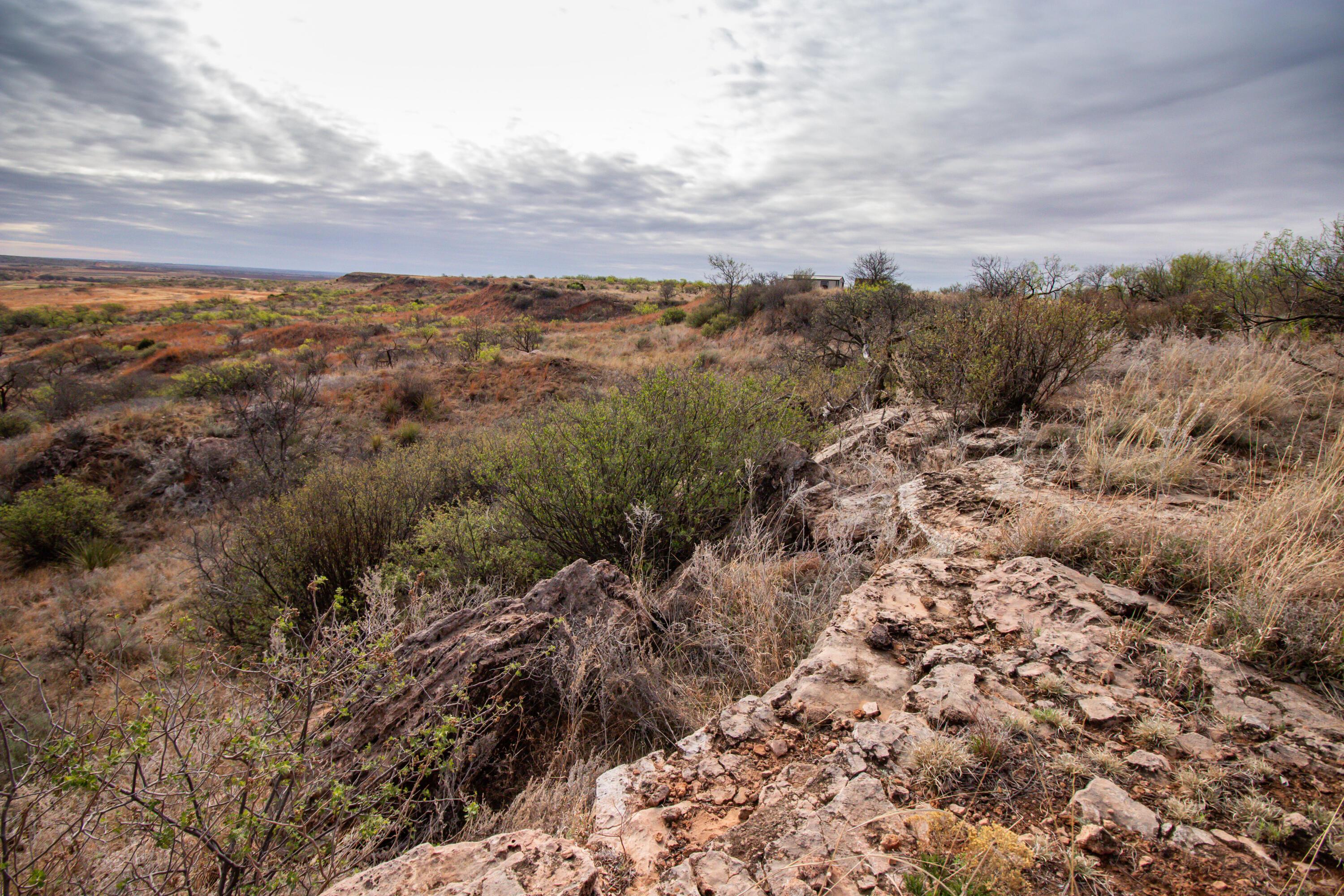 High Point Memphis, TX 79245 - Photo 8 of 63 008