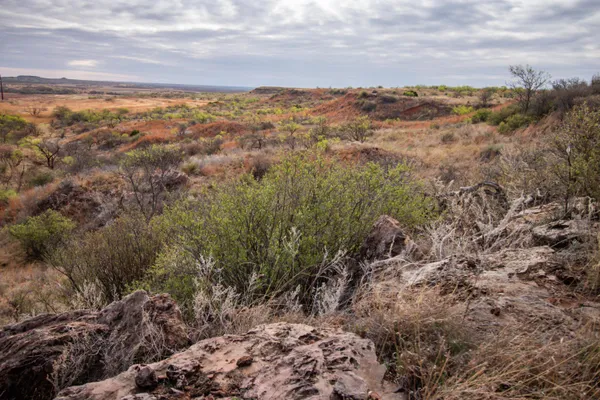 $560,000 | High Point, Memphis, TX 79245