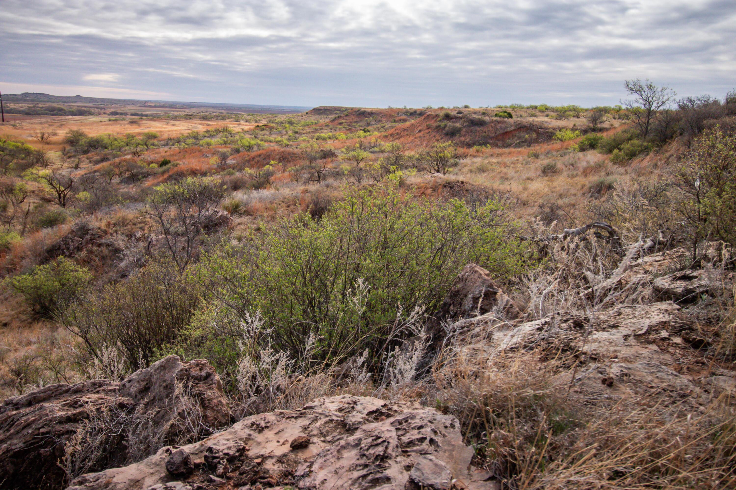 High Point Memphis, TX 79245 - Photo 9 of 63 009