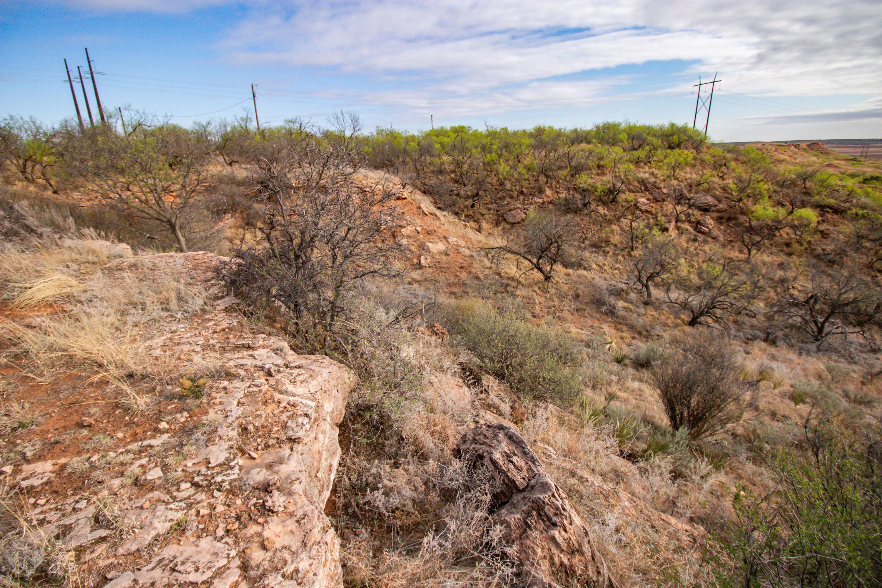 High Point Memphis, TX 79245 - Photo 10 of 63 010