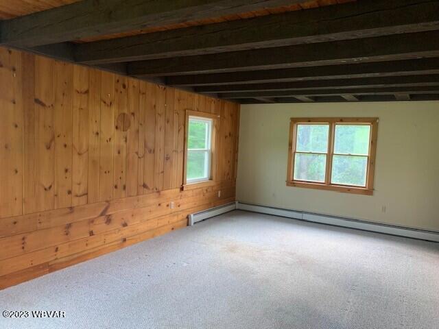 12 Mallard Road Millville, PA 17846 - Photo 11 of 27 Gallery Image 11