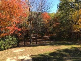 213 Townhouse Road East Waterboro, ME 04030 - Photo 112 of 127 IMG955274